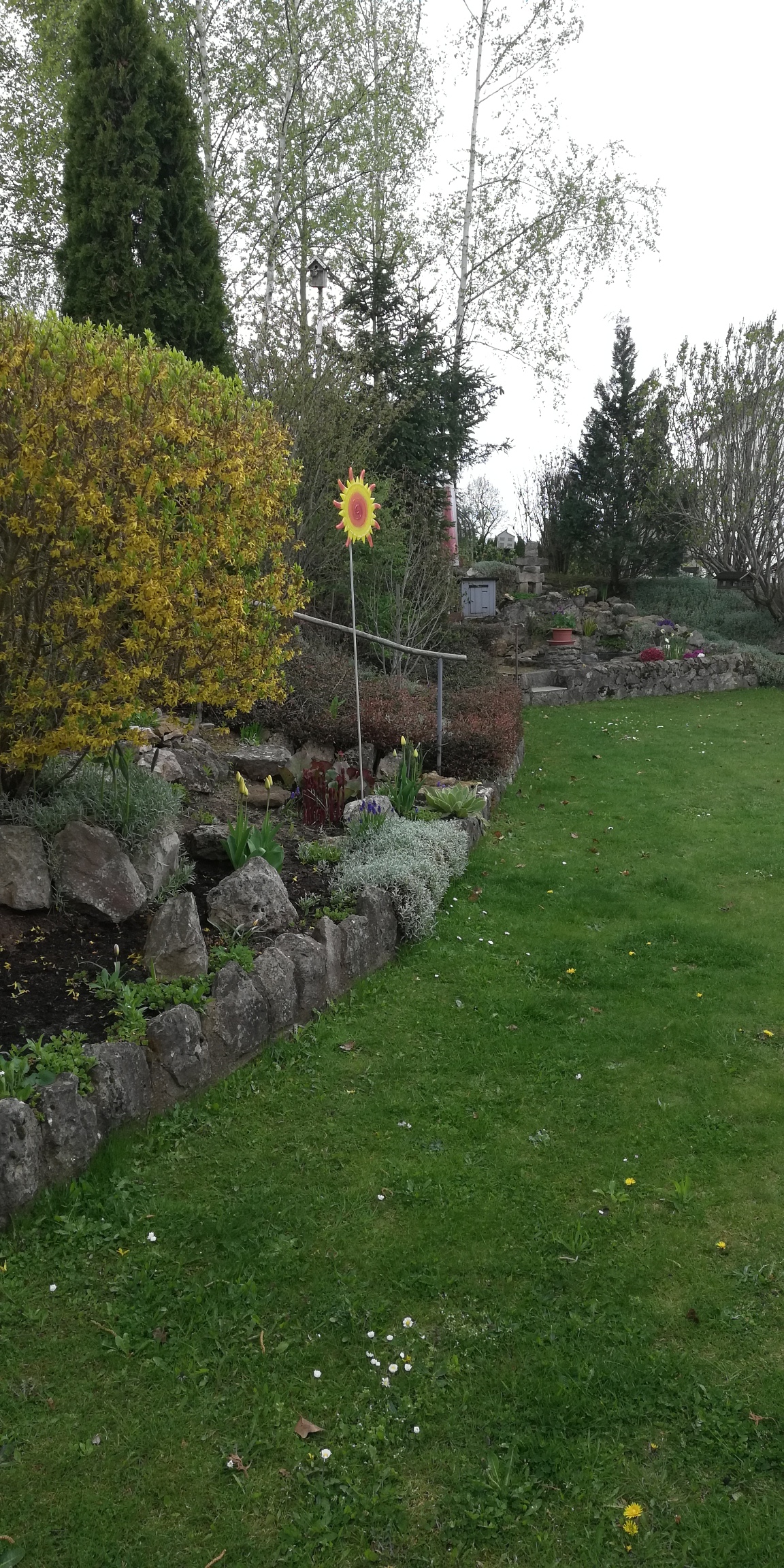 bunter-garten-plauder-bilder-thread-495315-2.jpg
