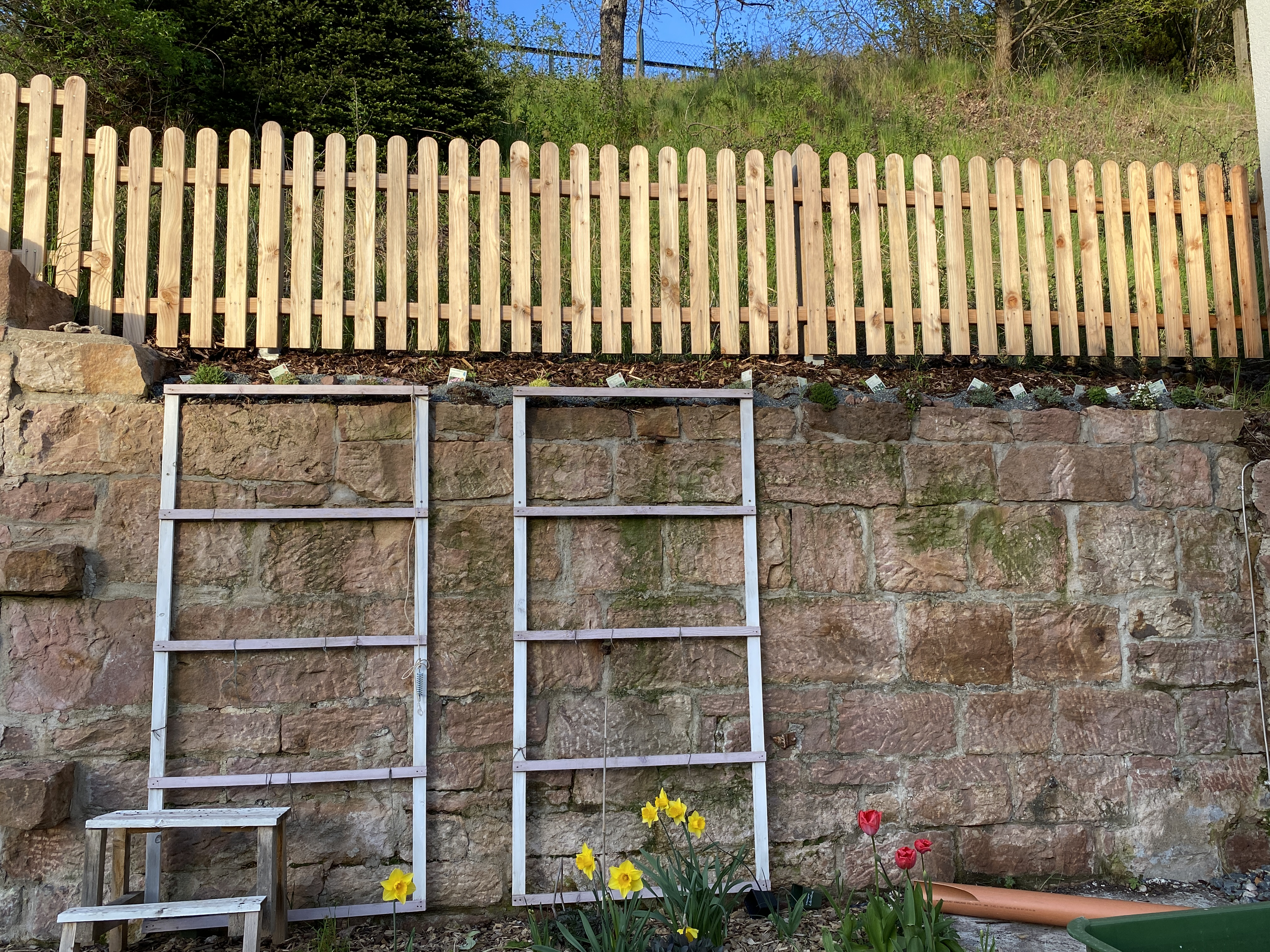 bunter-garten-plauder-bilder-thread-495426-1.jpg