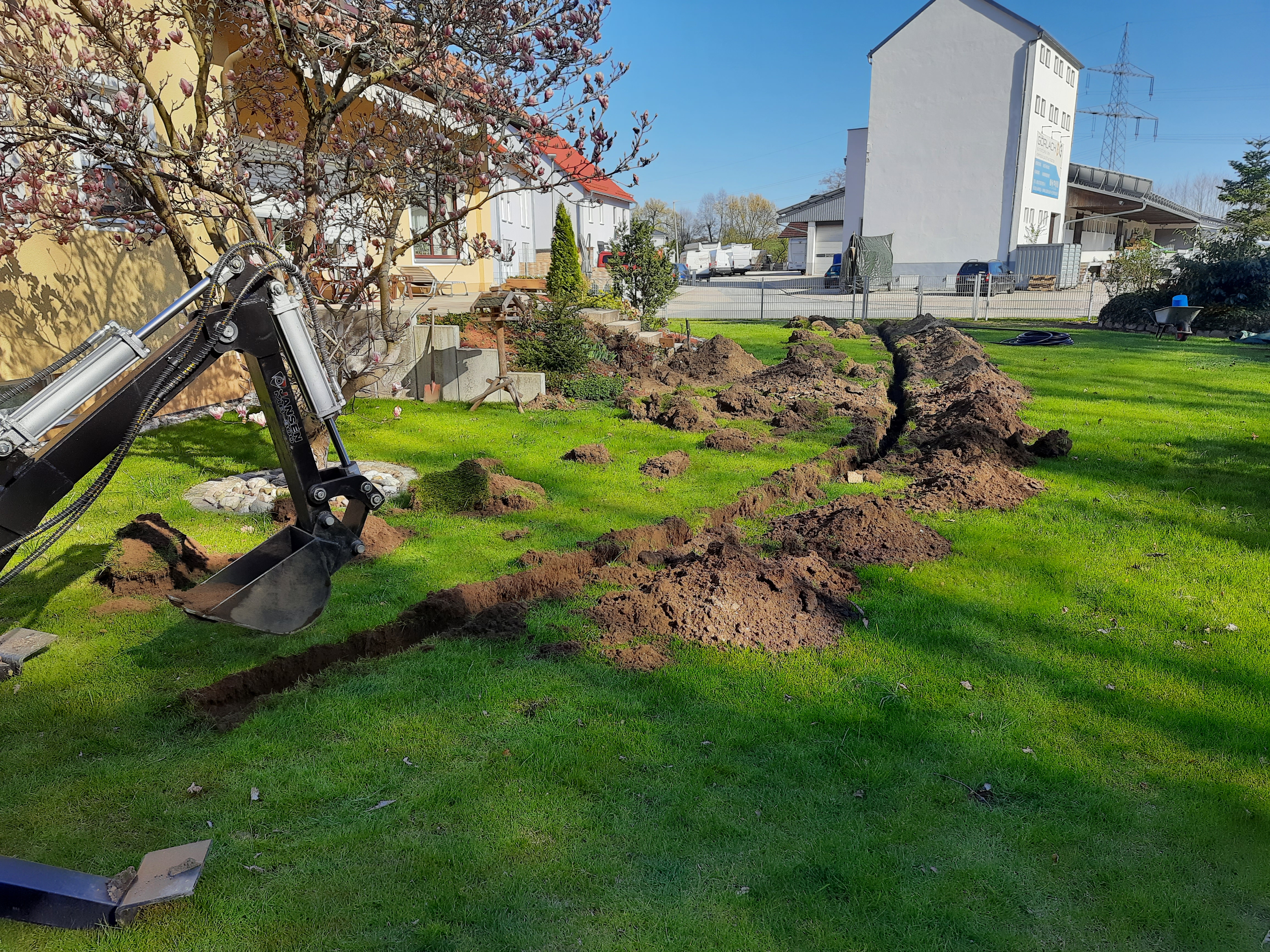 bunter-garten-plauder-bilder-thread-498696-1.jpg