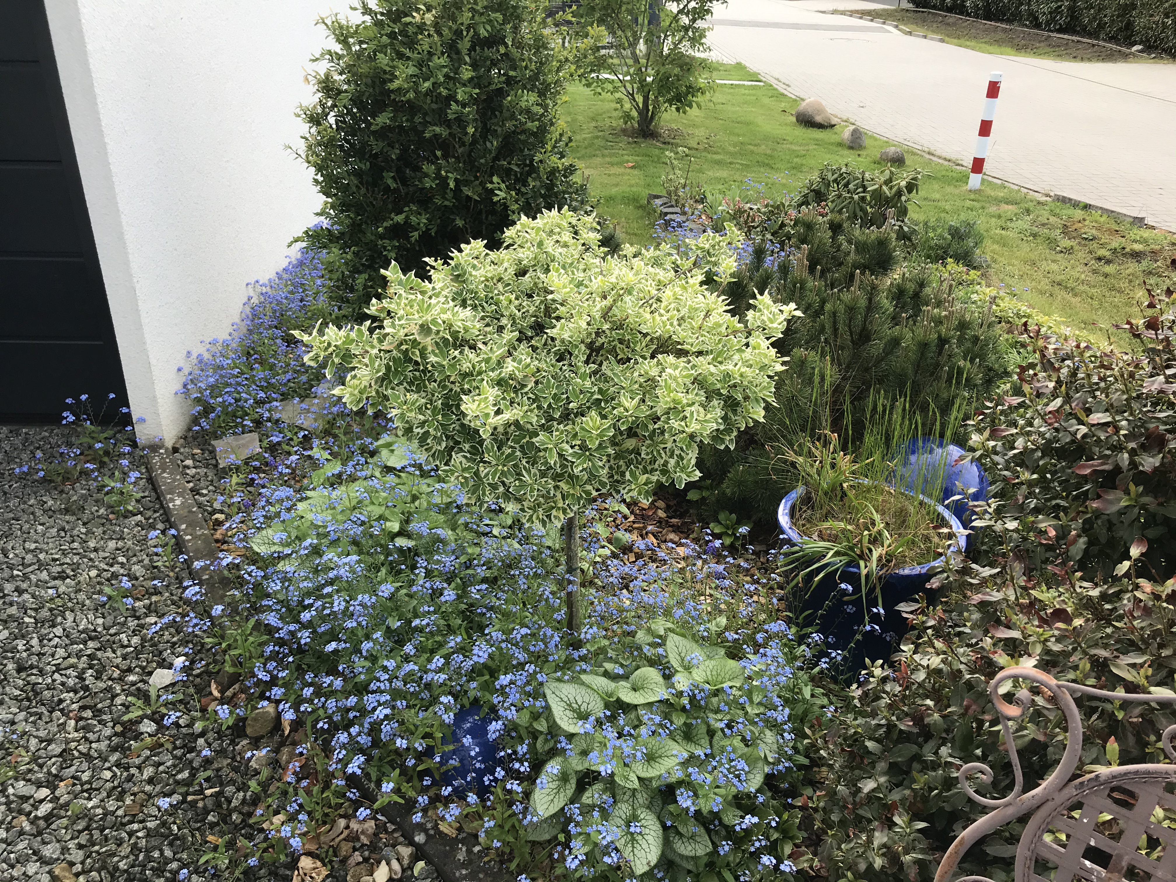 bunter-garten-plauder-bilder-thread-498777-3.jpeg