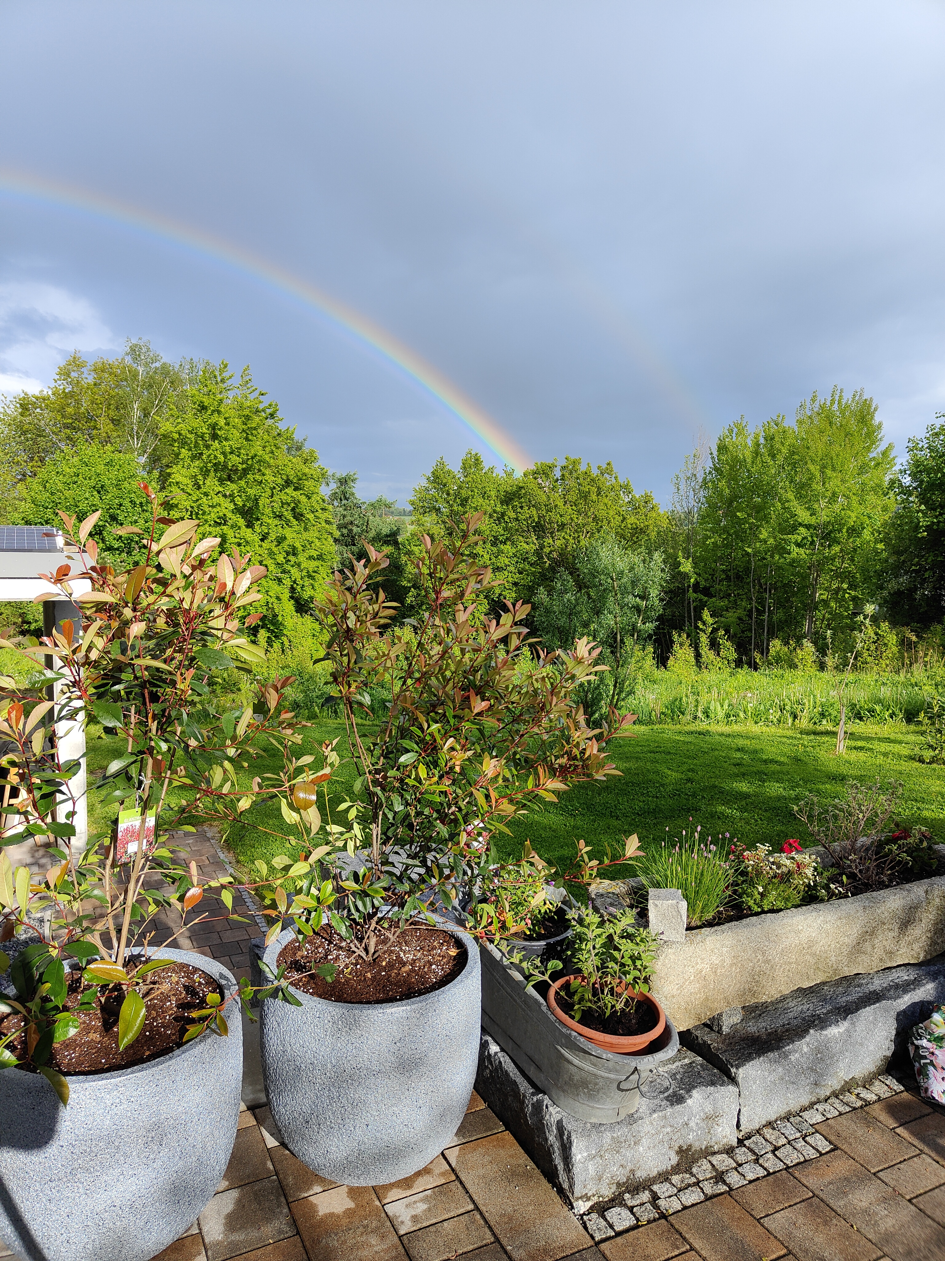 bunter-garten-plauder-bilder-thread-498980-1.jpg