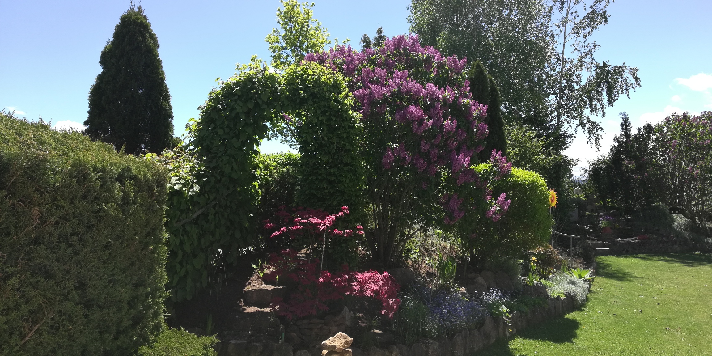 bunter-garten-plauder-bilder-thread-499443-1.jpg
