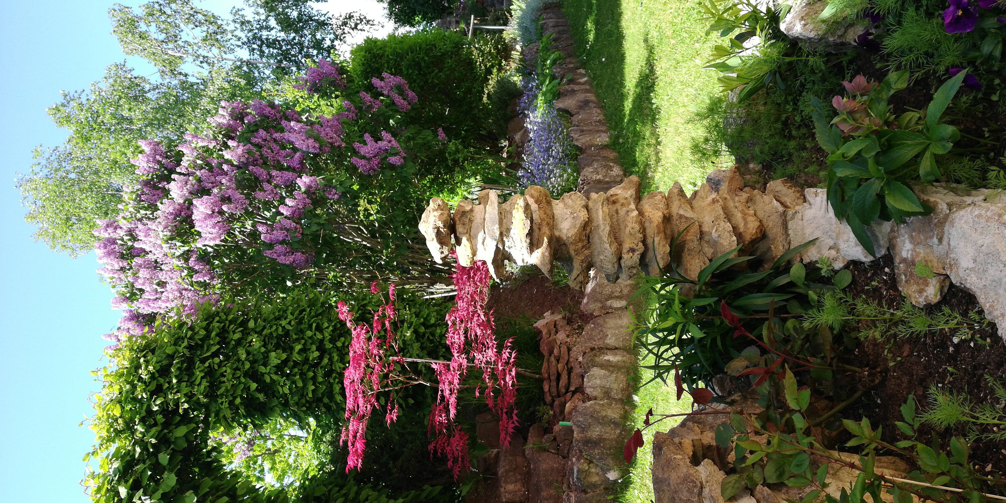 bunter-garten-plauder-bilder-thread-501340-2.jpg