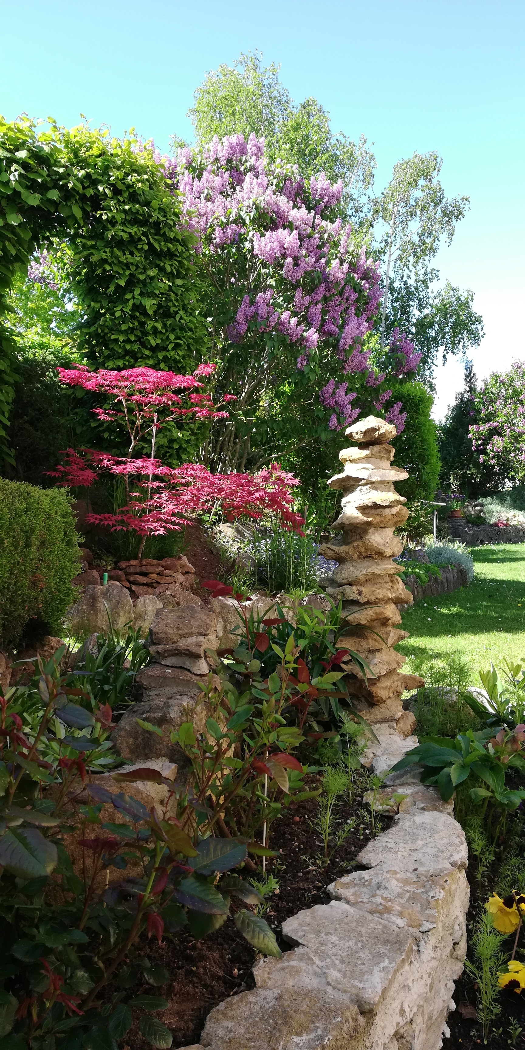 bunter-garten-plauder-bilder-thread-501340-3.jpg