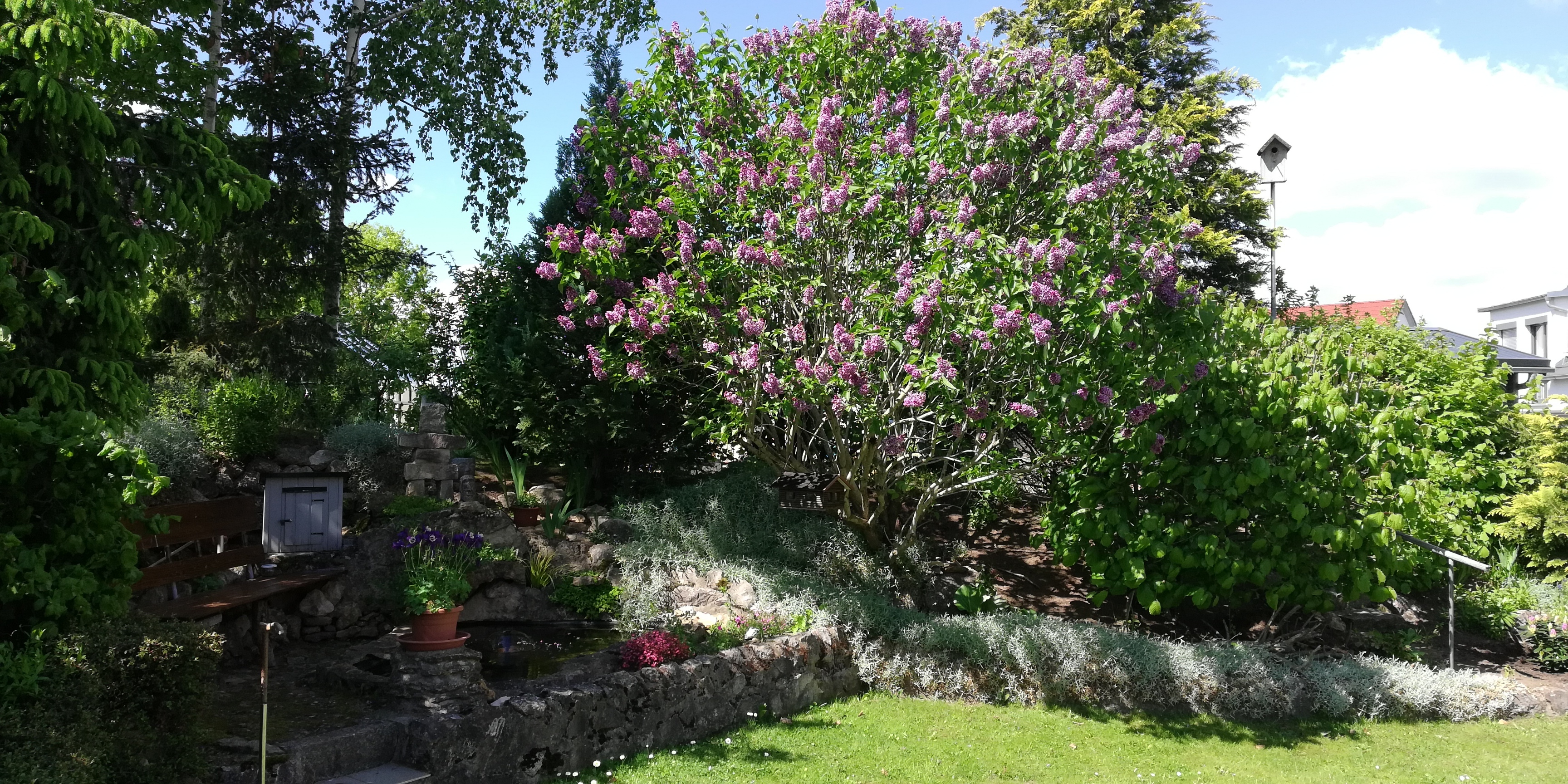 bunter-garten-plauder-bilder-thread-501340-4.jpg