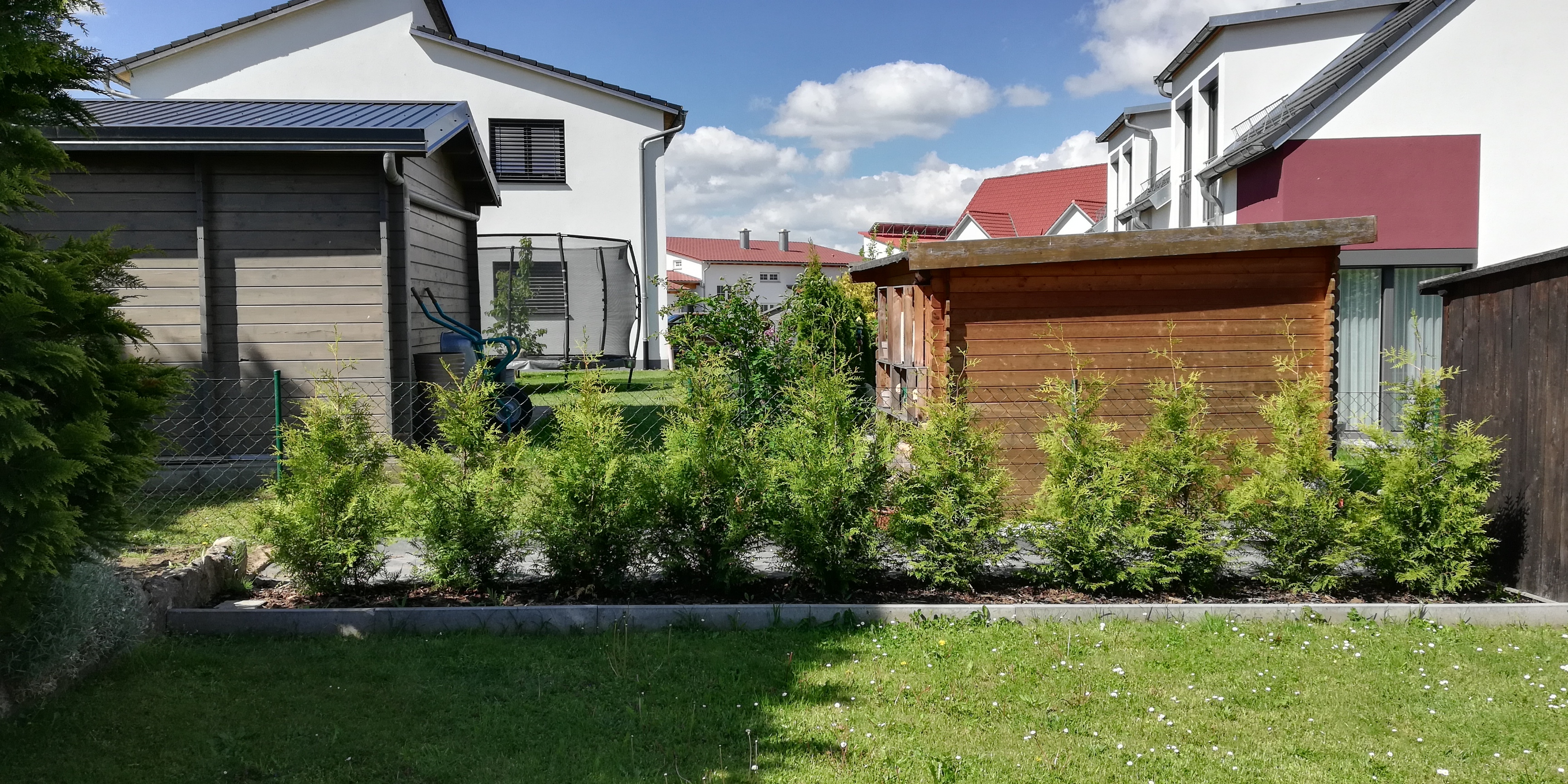 bunter-garten-plauder-bilder-thread-501340-5.jpg