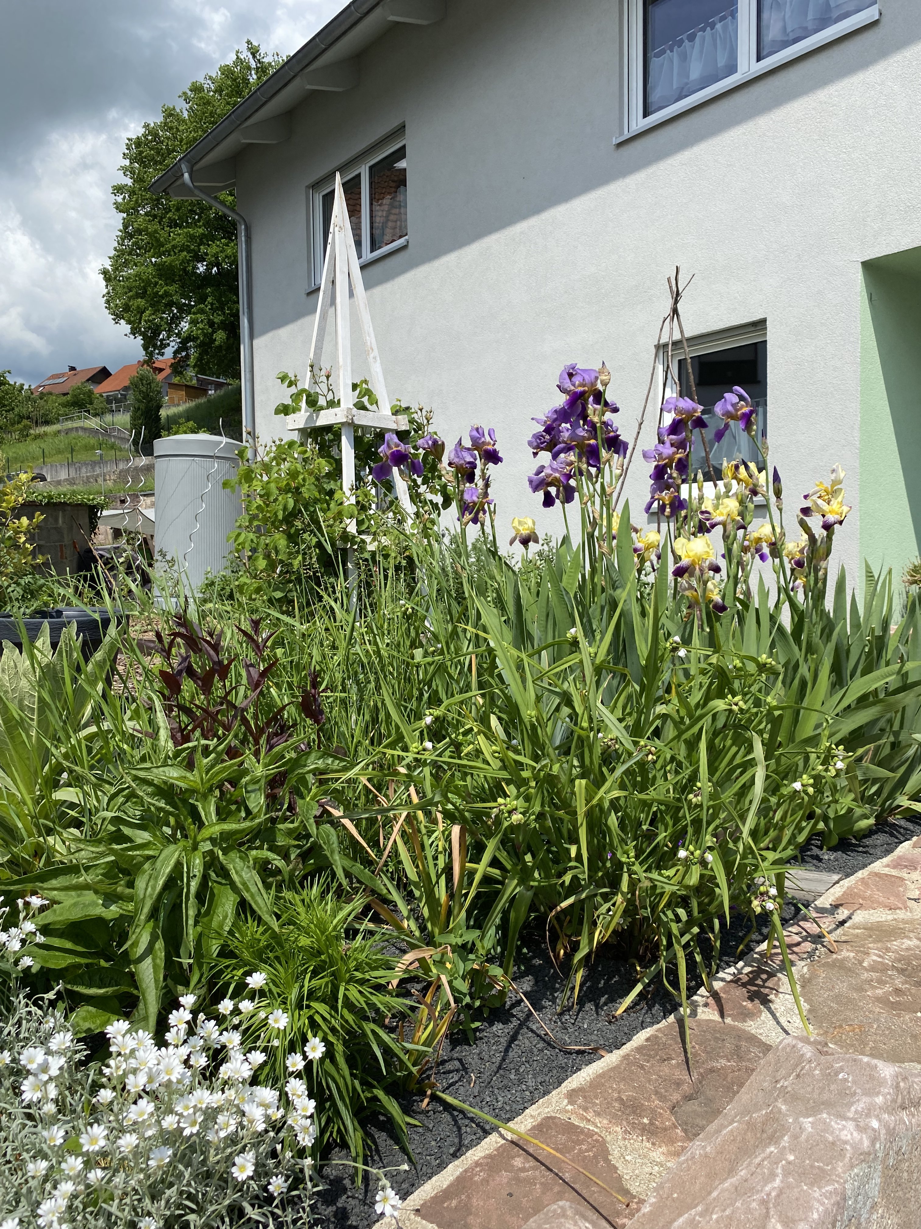 bunter-garten-plauder-bilder-thread-502285-3.jpeg