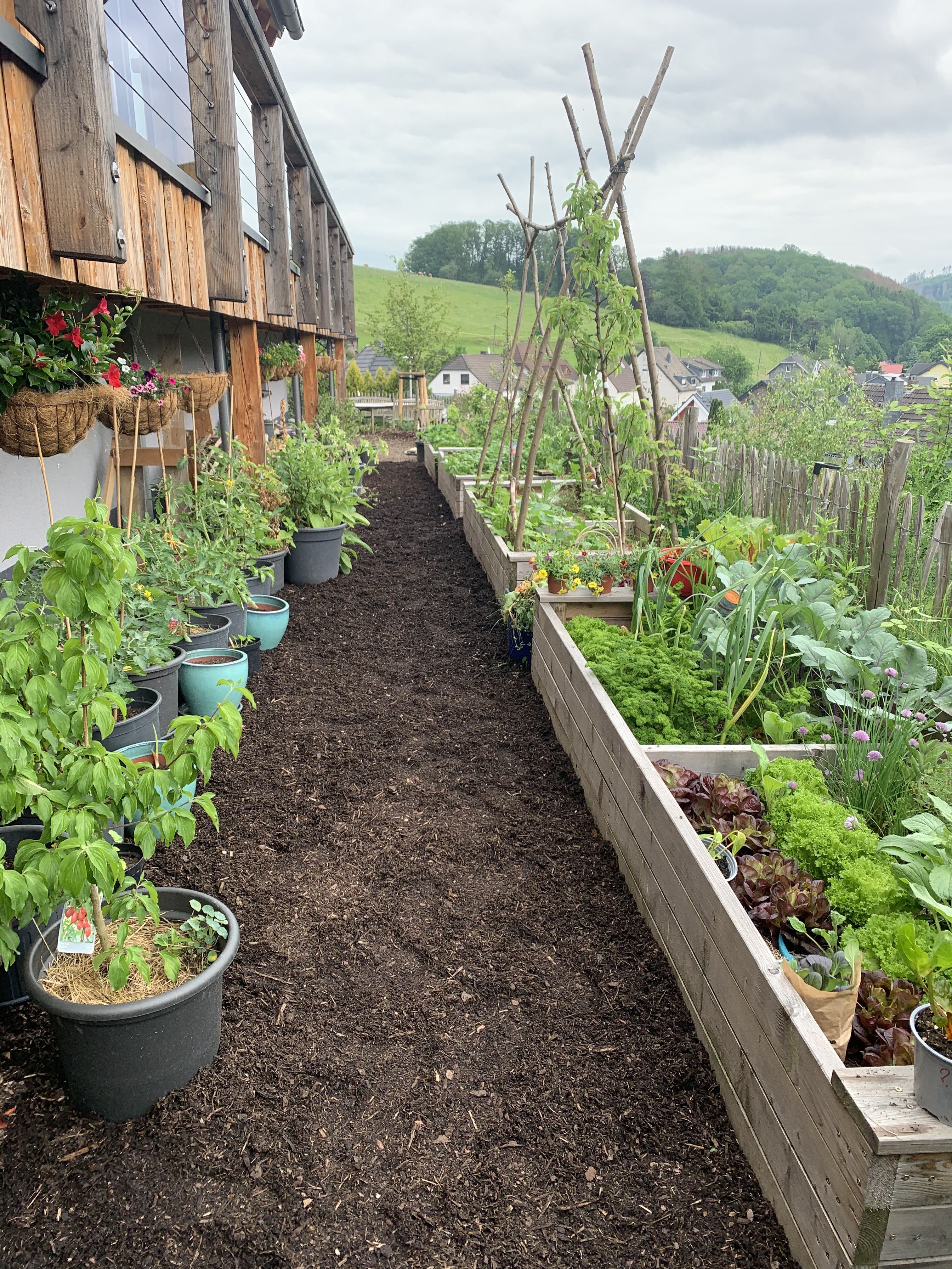 bunter-garten-plauder-bilder-thread-502731-1.jpeg