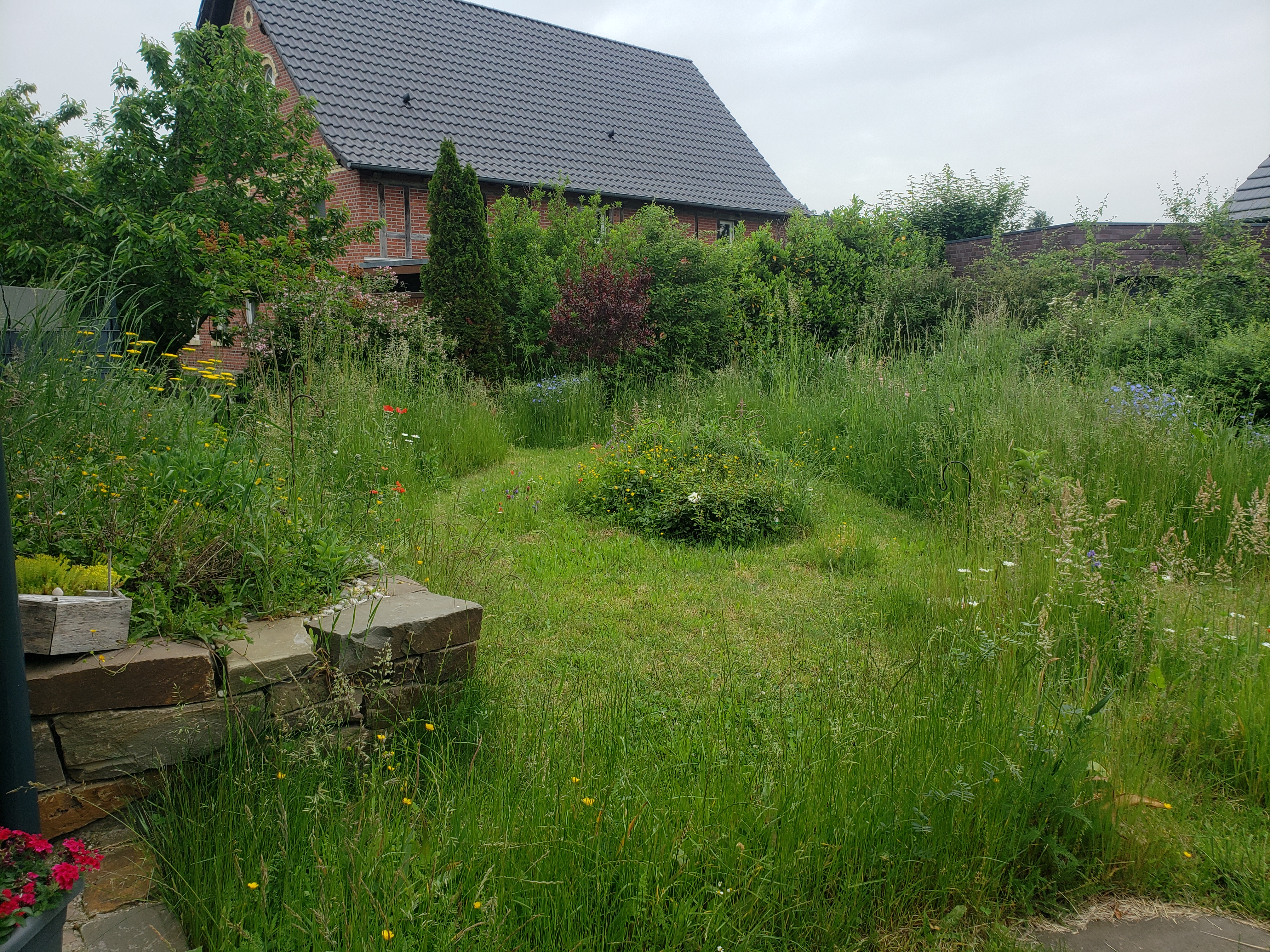 bunter-garten-plauder-bilder-thread-502771-1.jpg