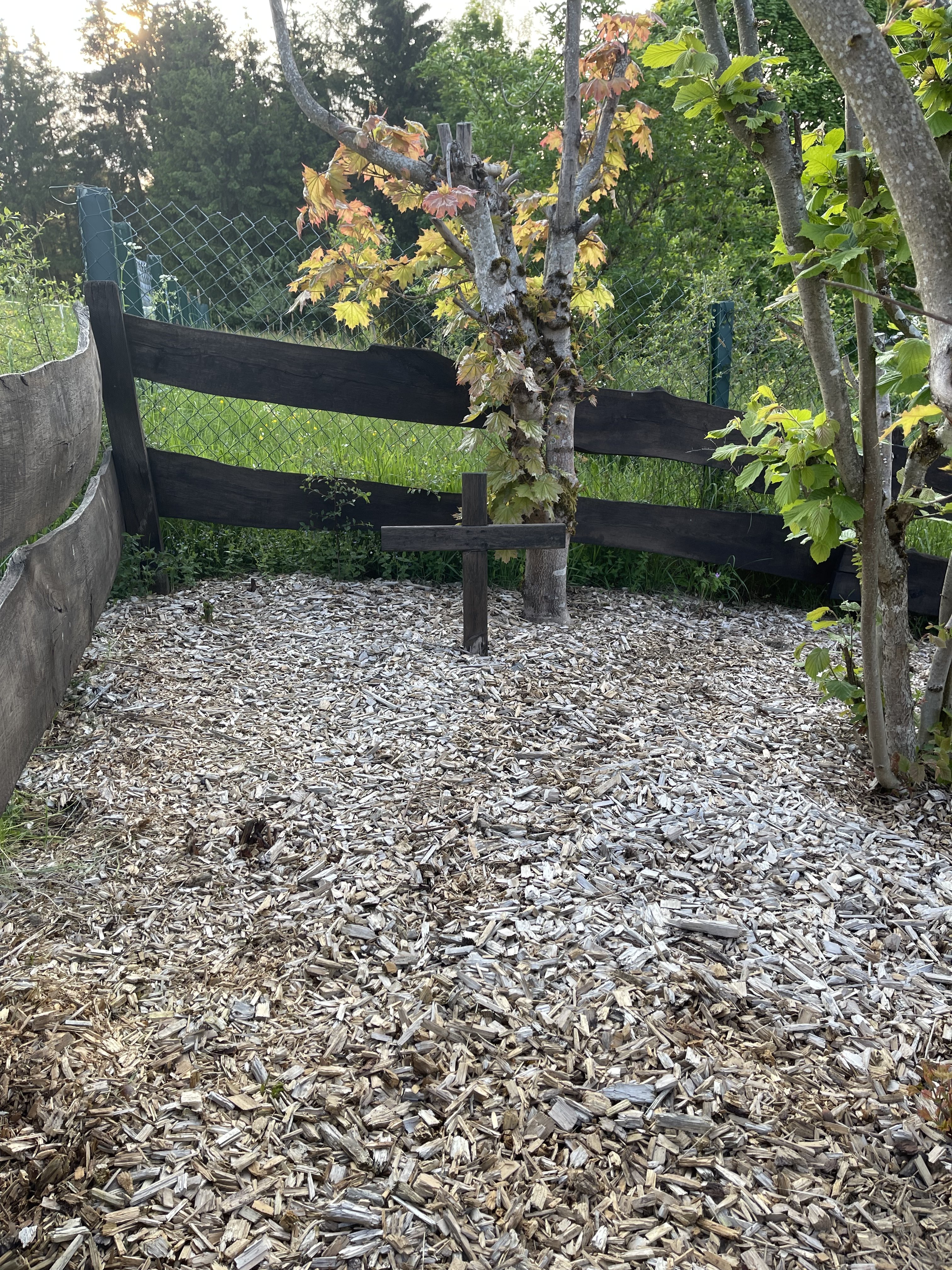 bunter-garten-plauder-bilder-thread-503202-1.jpeg