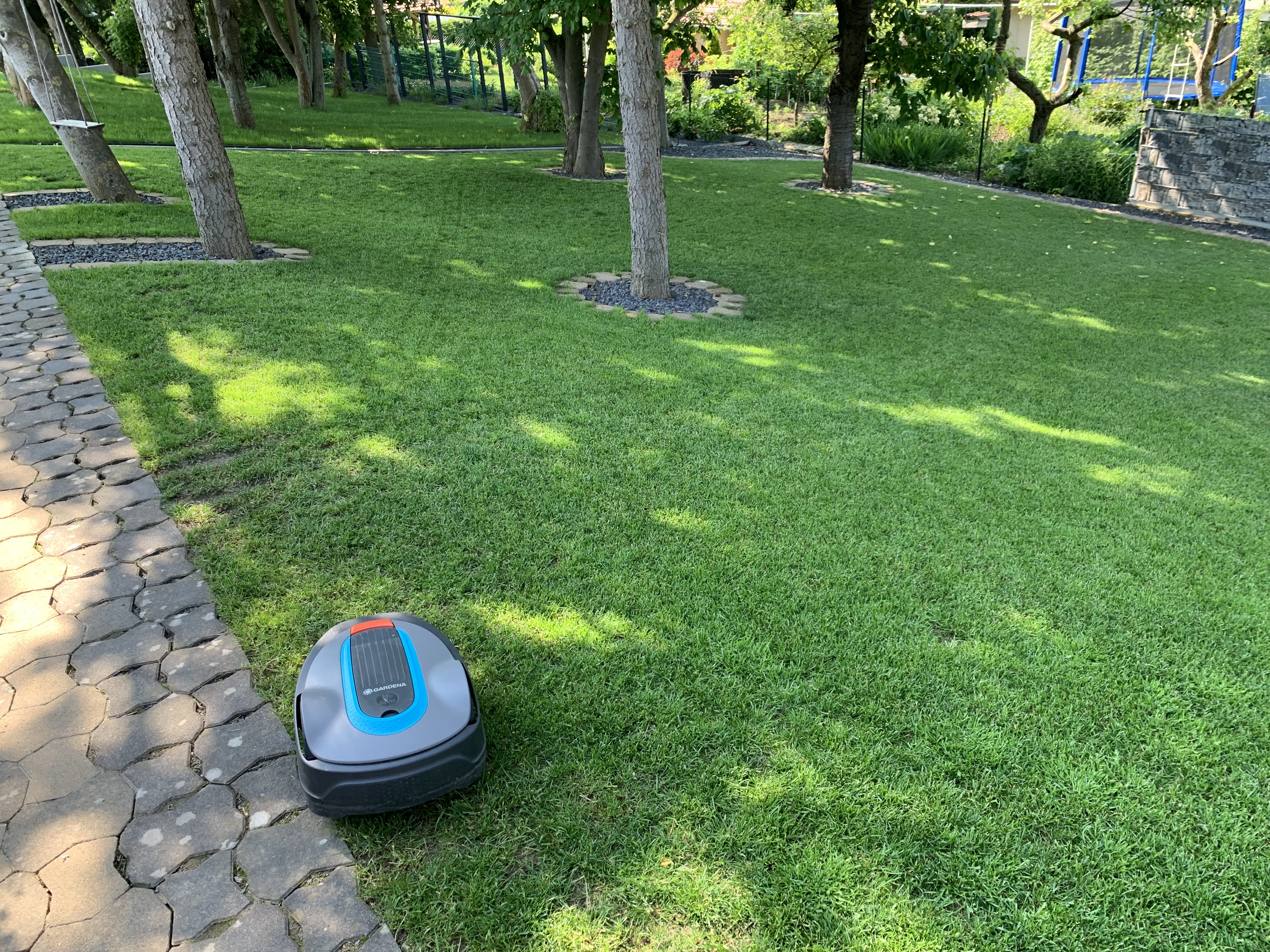 bunter-garten-plauder-bilder-thread-503615-2.jpeg