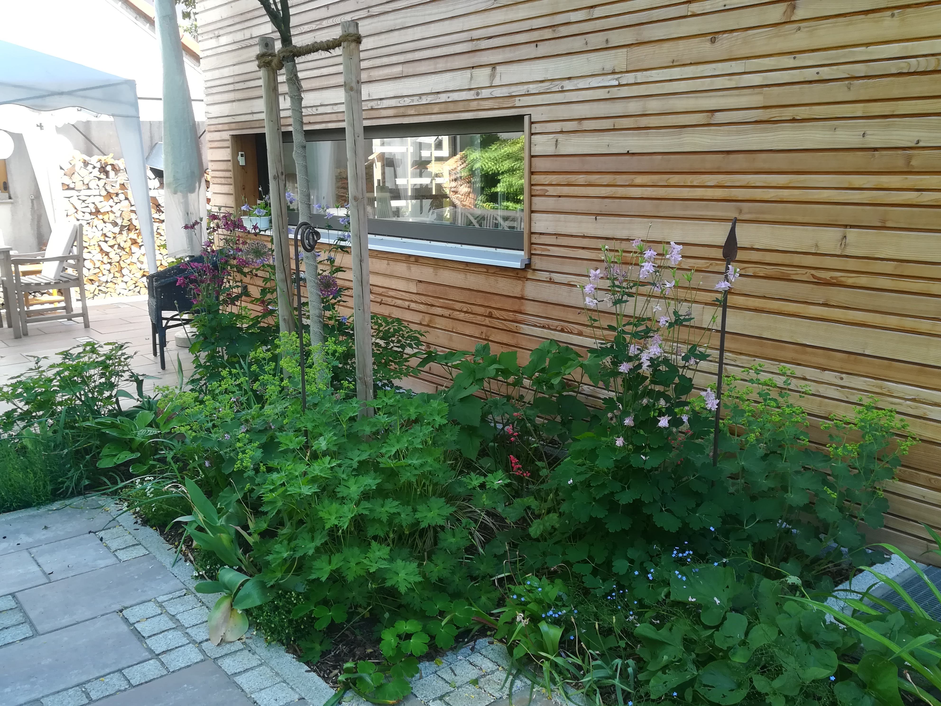 bunter-garten-plauder-bilder-thread-504198-3.jpg