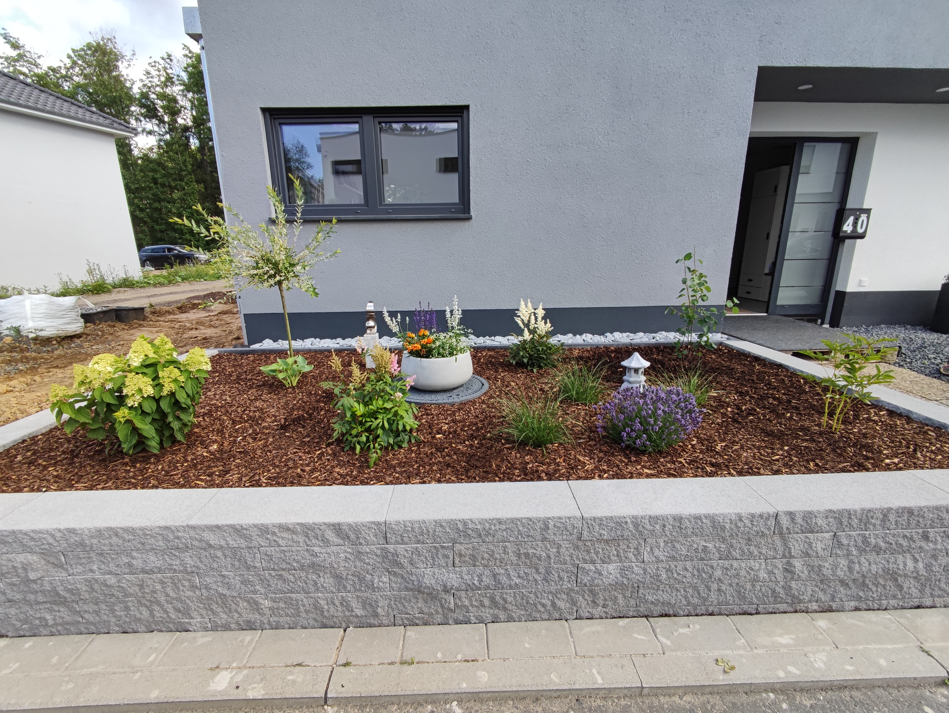 bunter-garten-plauder-bilder-thread-508863-2.jpg