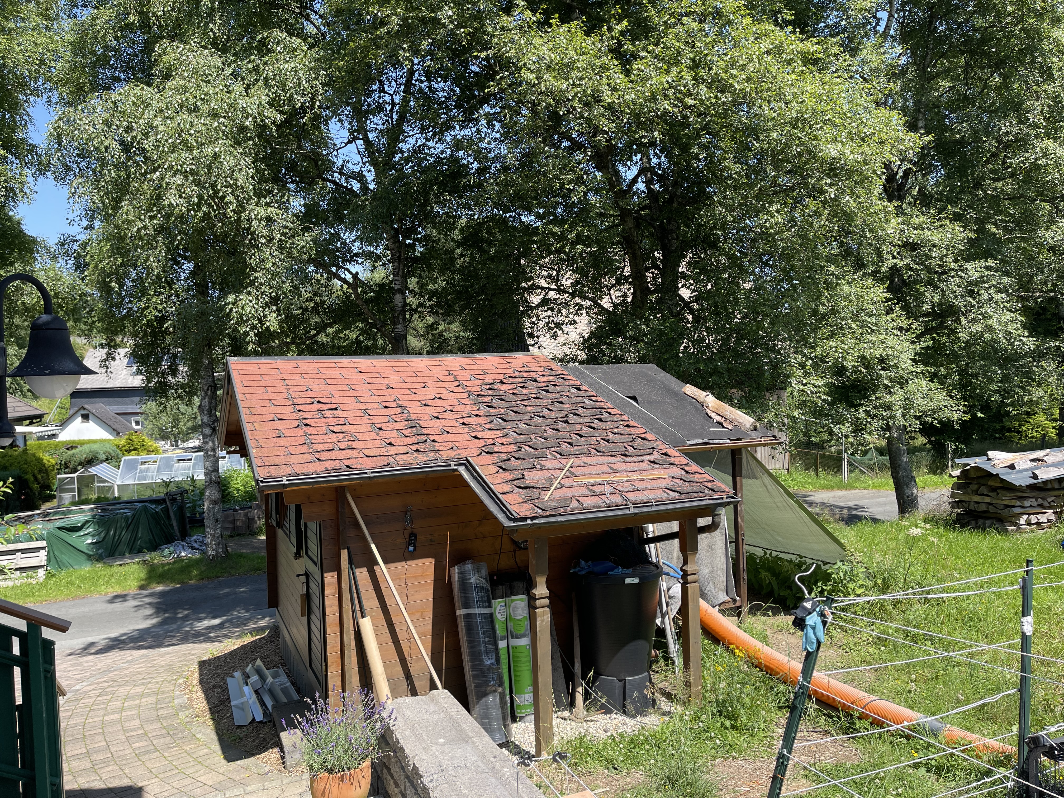 bunter-garten-plauder-bilder-thread-512448-2.jpg