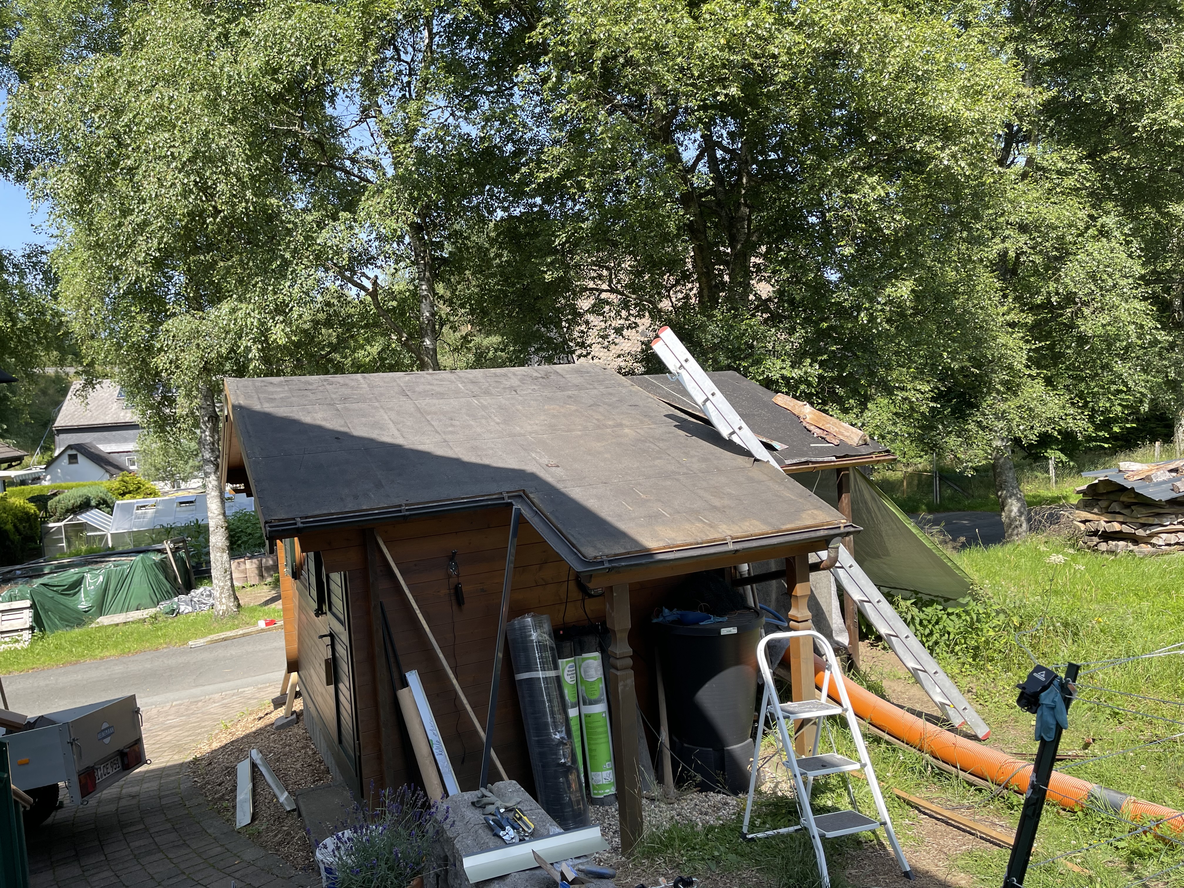 bunter-garten-plauder-bilder-thread-512448-3.jpg