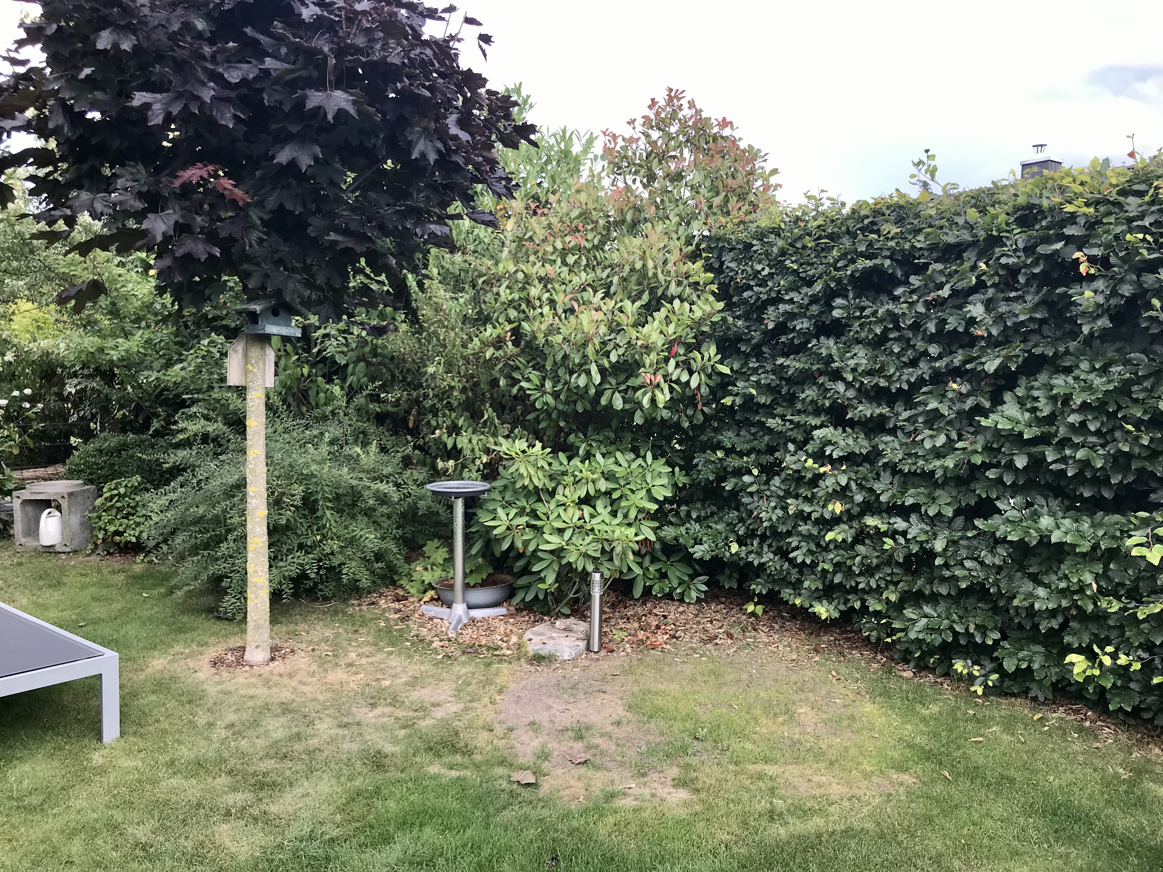 bunter-garten-plauder-bilder-thread-513264-1.jpeg