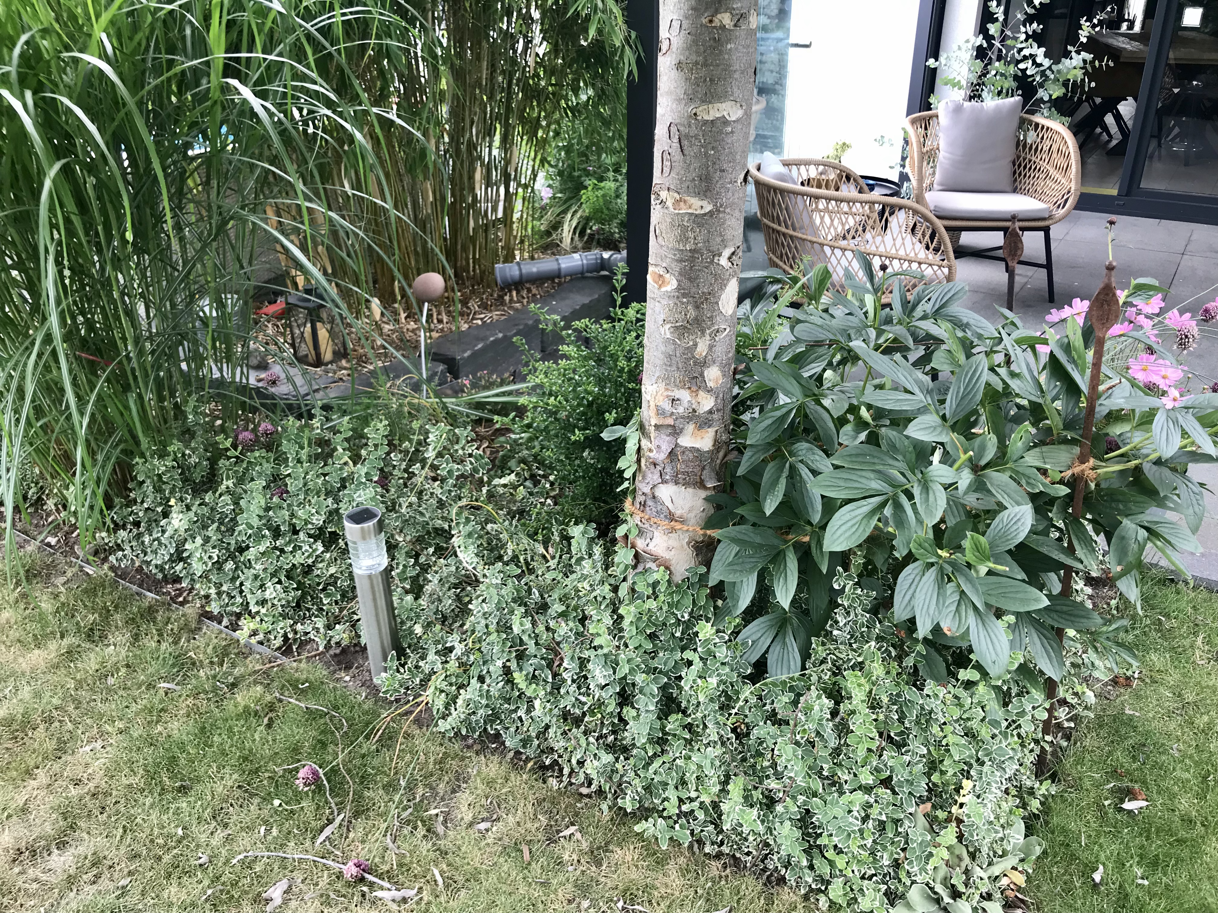 bunter-garten-plauder-bilder-thread-513264-5.jpeg