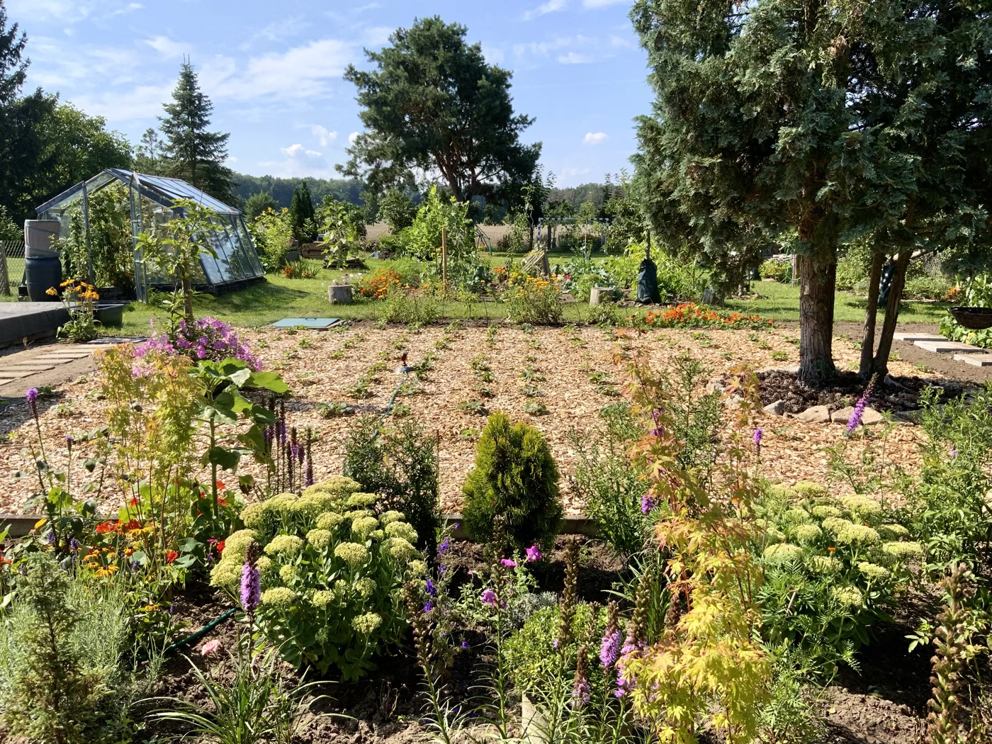 bunter-garten-plauder-bilder-thread-516375-2.jpeg