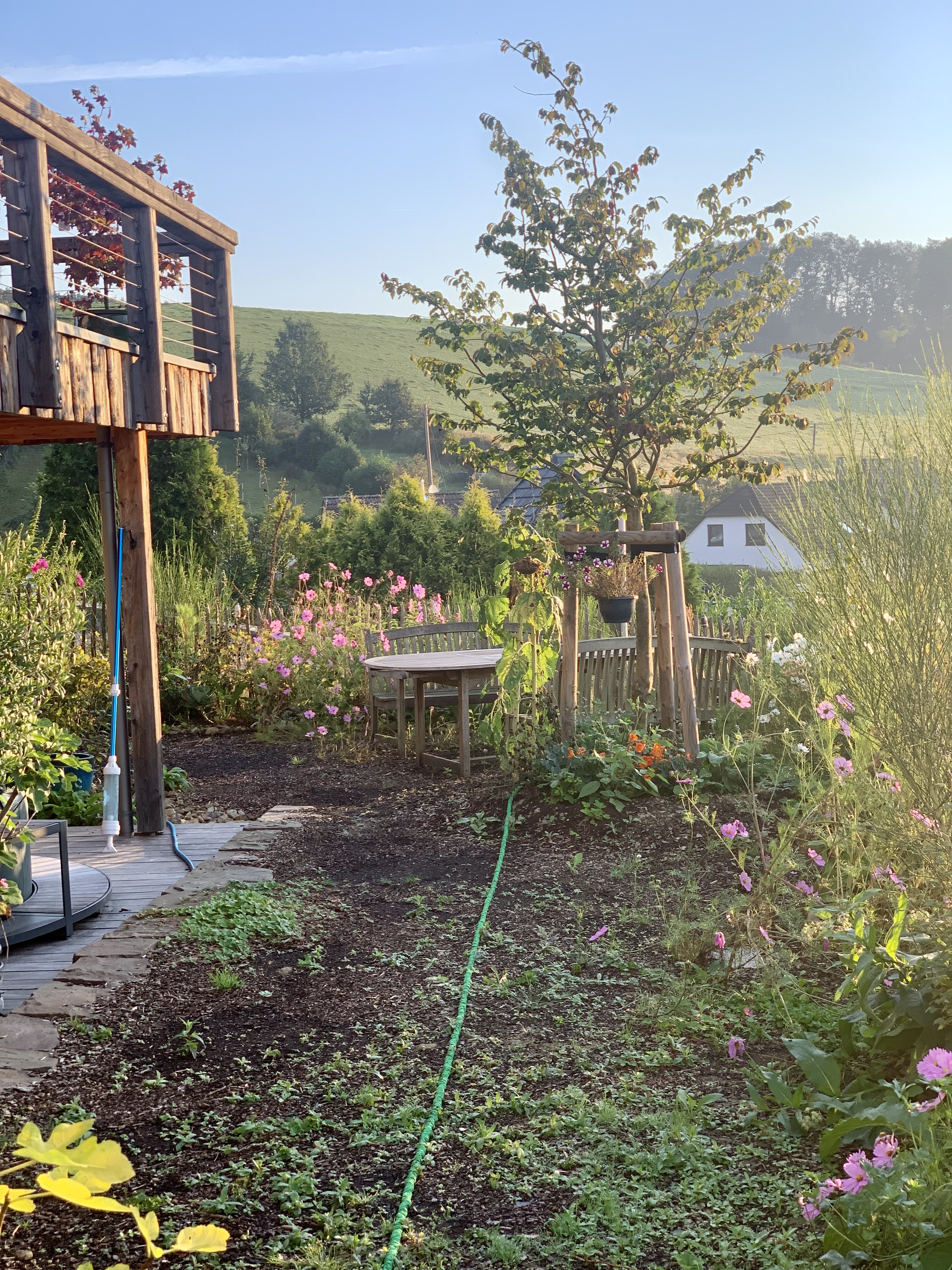 bunter-garten-plauder-bilder-thread-529618-6.png