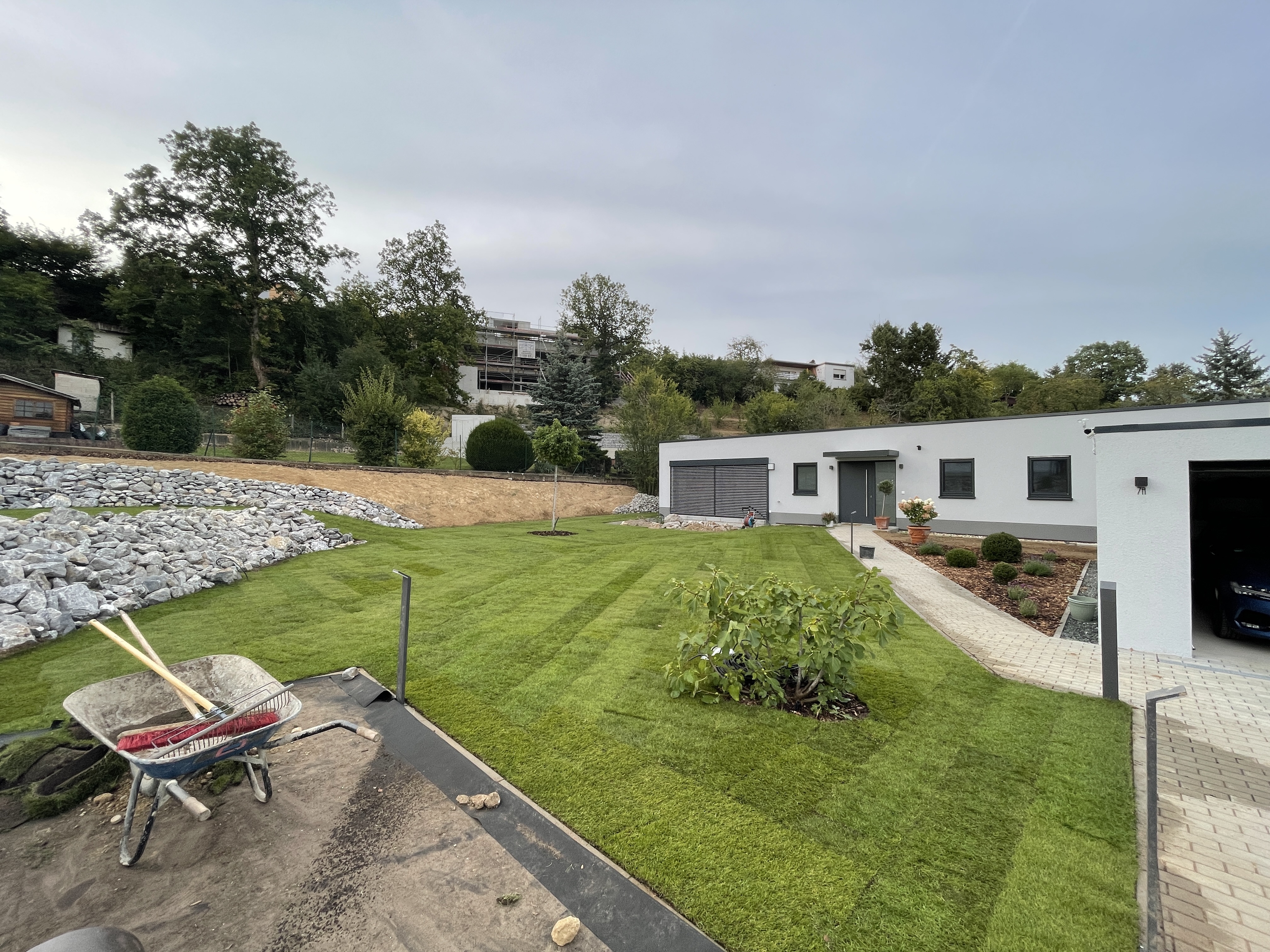 bunter-garten-plauder-bilder-thread-529889-3.jpeg
