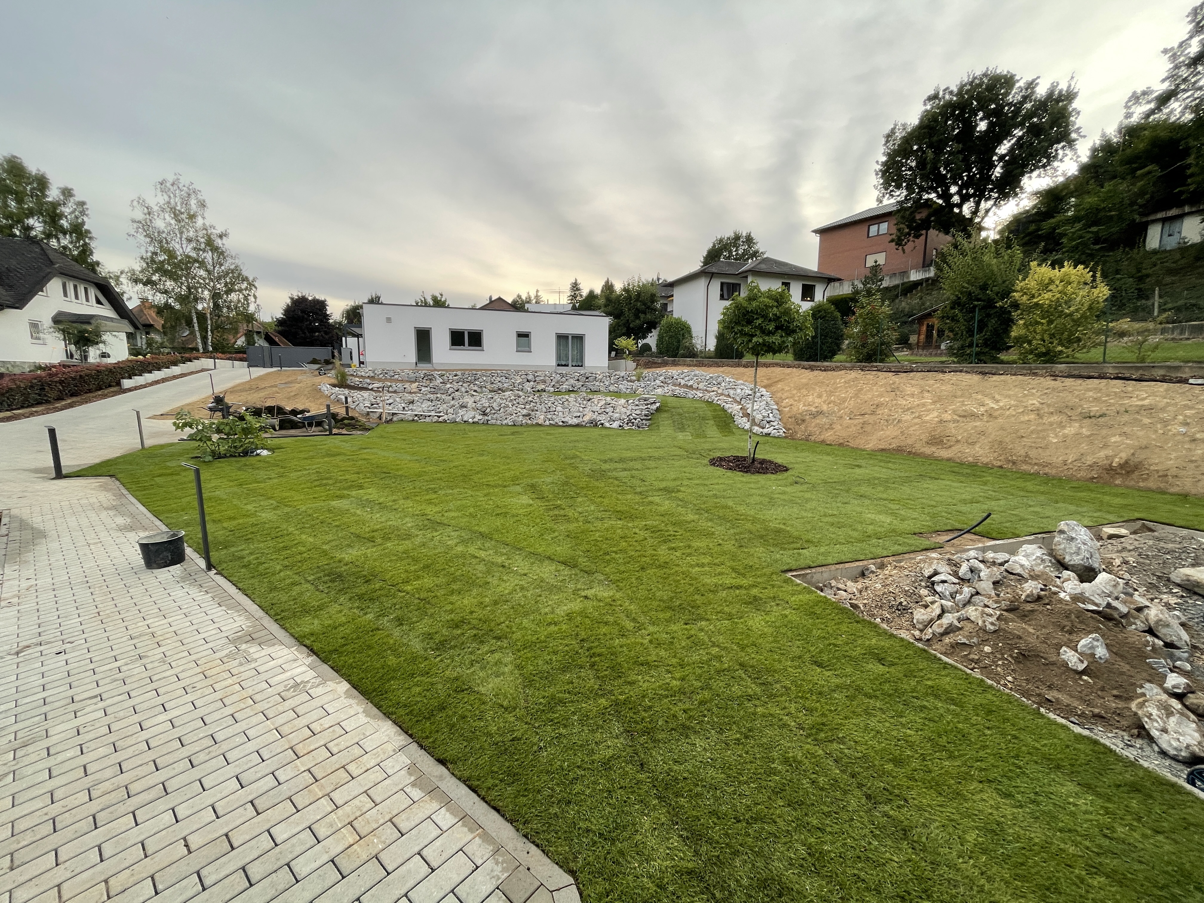 bunter-garten-plauder-bilder-thread-529889-4.jpeg