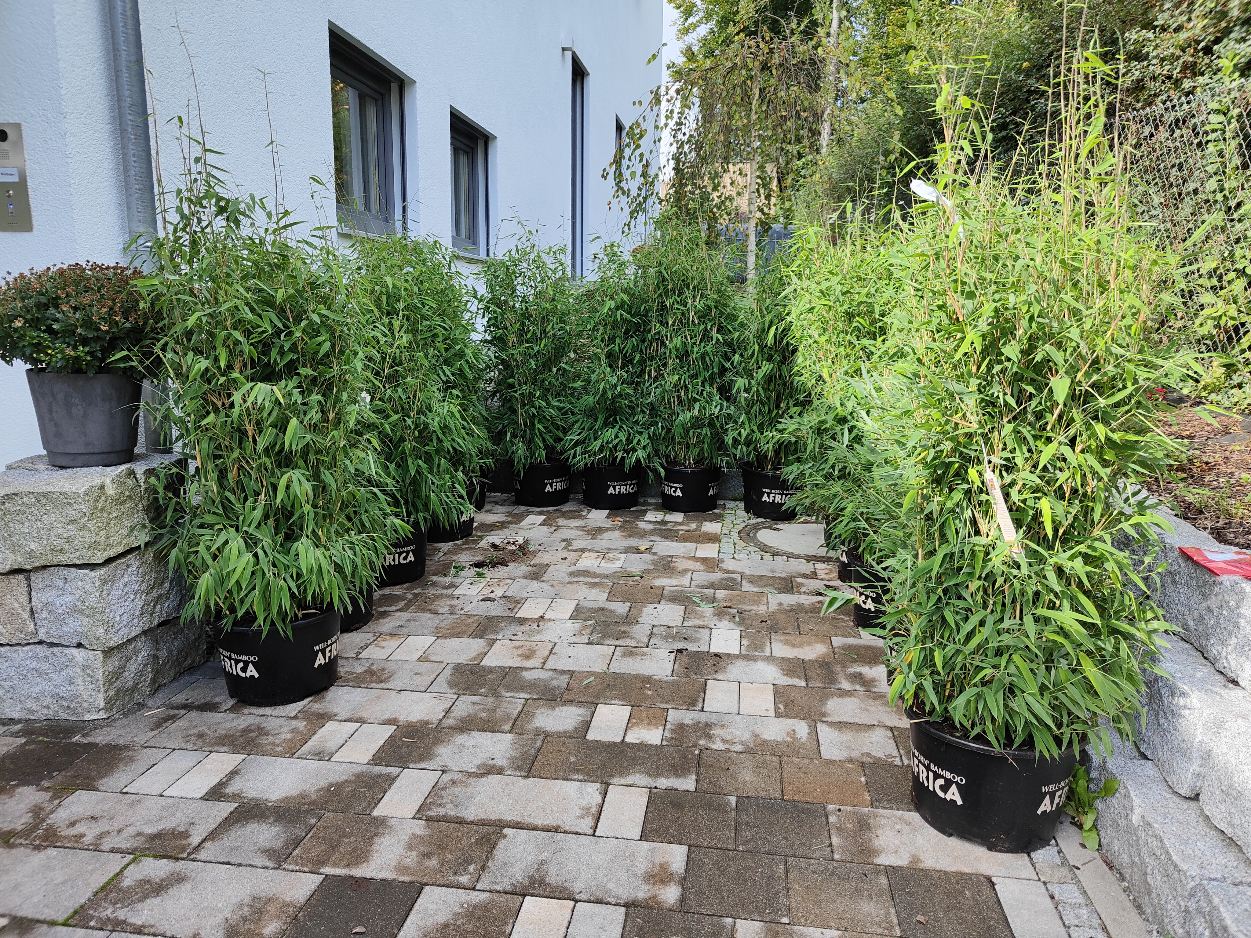 bunter-garten-plauder-bilder-thread-531320-1.jpg