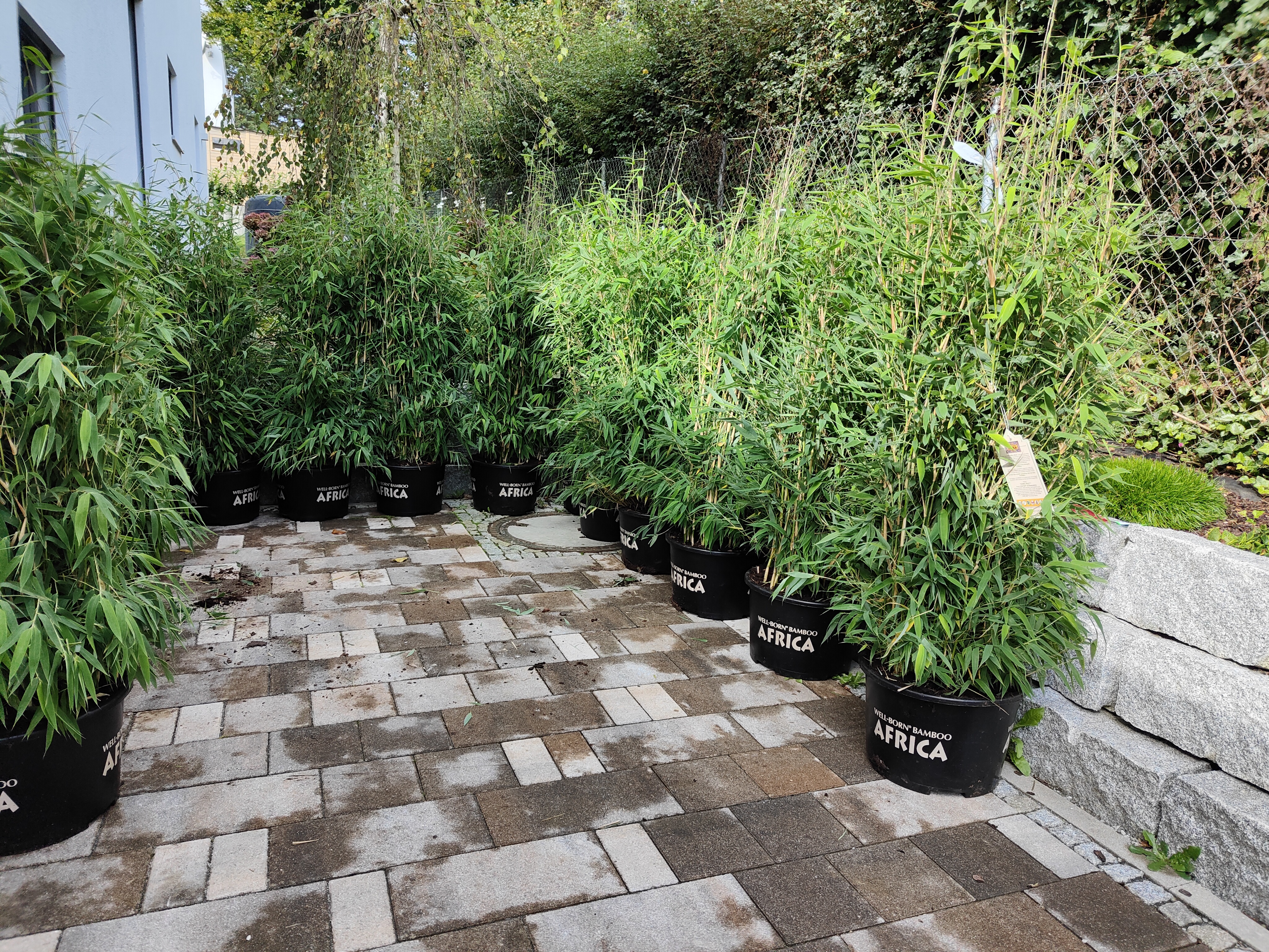 bunter-garten-plauder-bilder-thread-531320-2.jpg