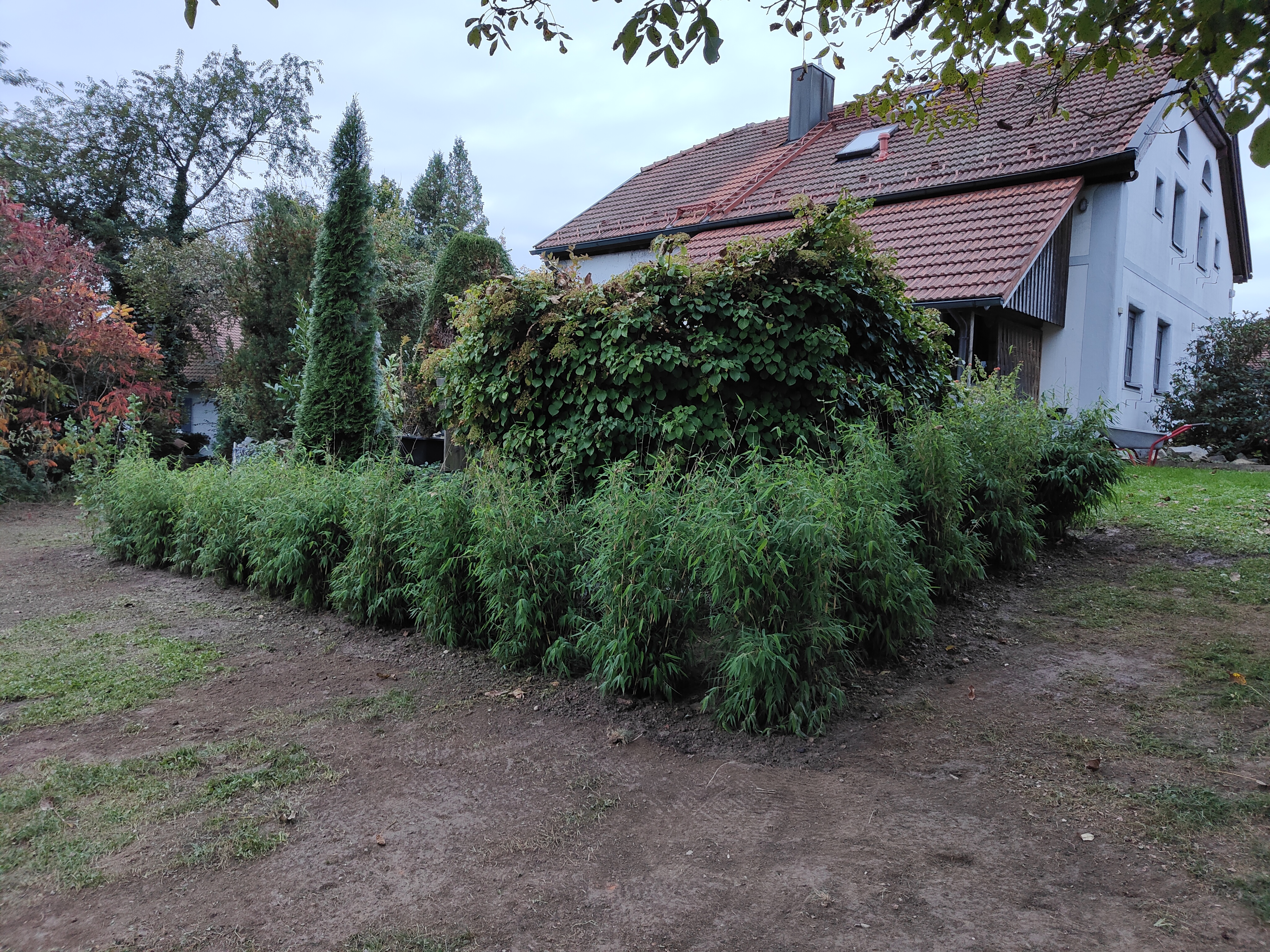 bunter-garten-plauder-bilder-thread-531942-1.jpg
