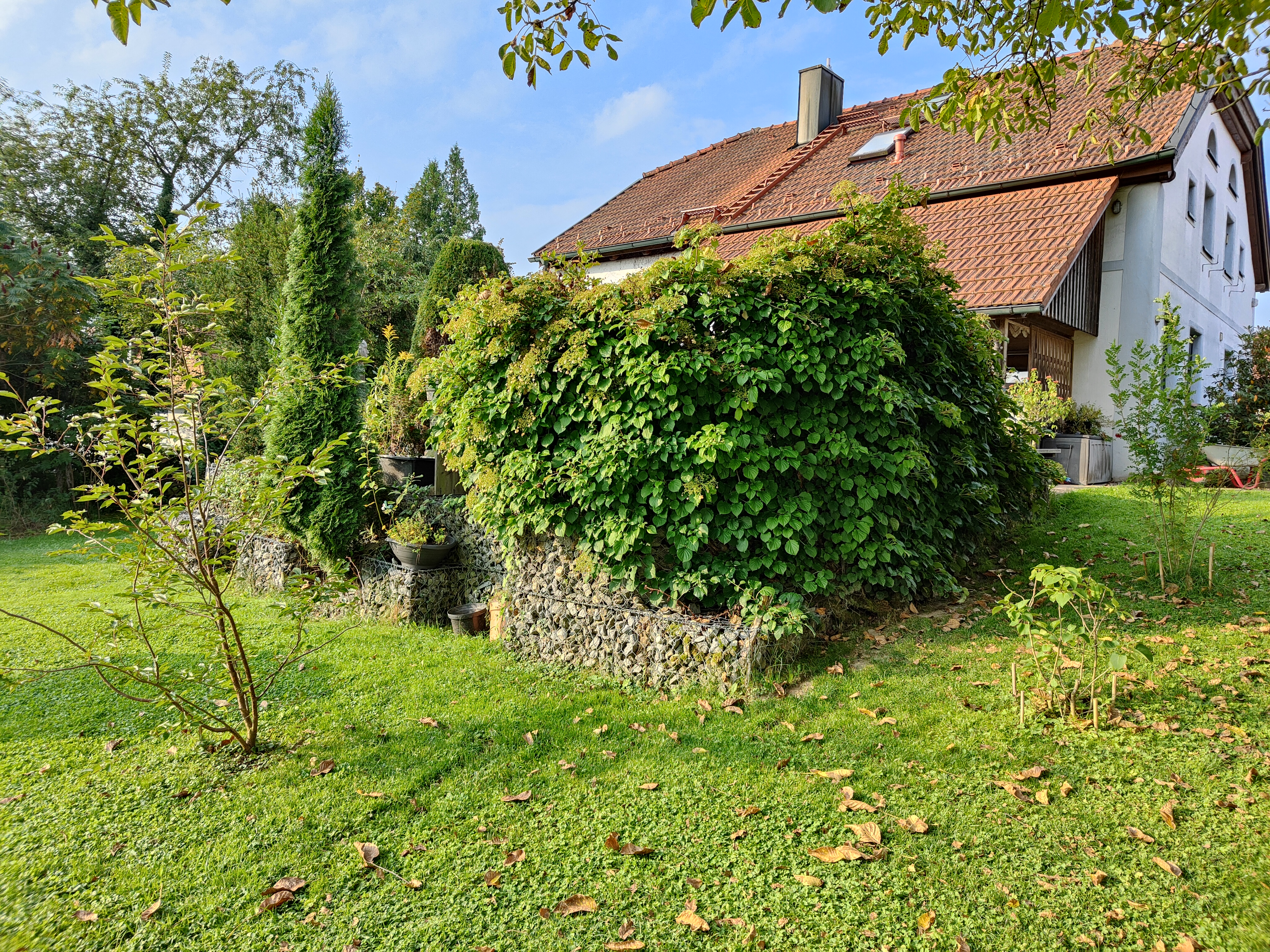 bunter-garten-plauder-bilder-thread-531942-1.jpg