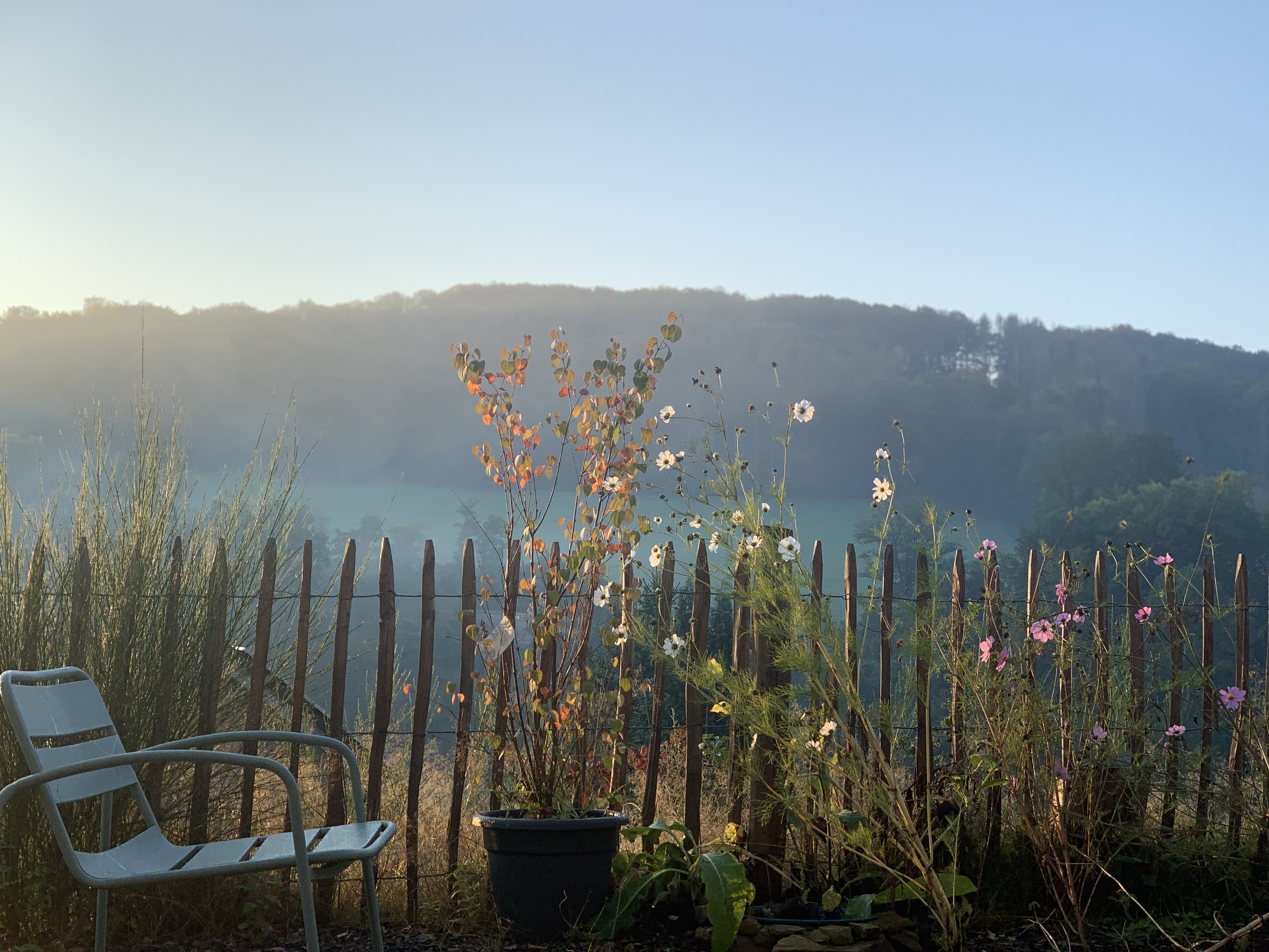bunter-garten-plauder-bilder-thread-533024-1.jpeg