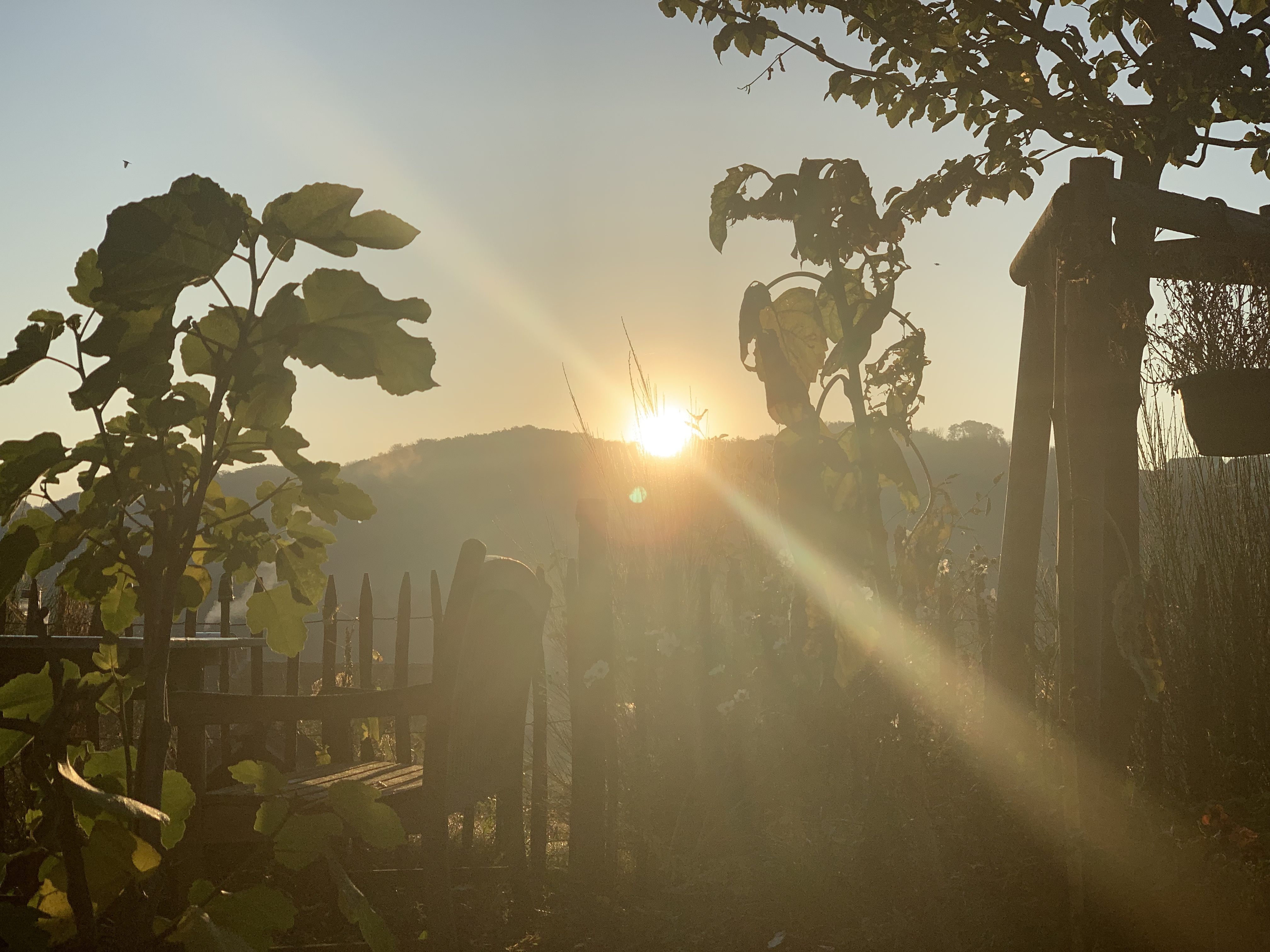 bunter-garten-plauder-bilder-thread-533024-3.png