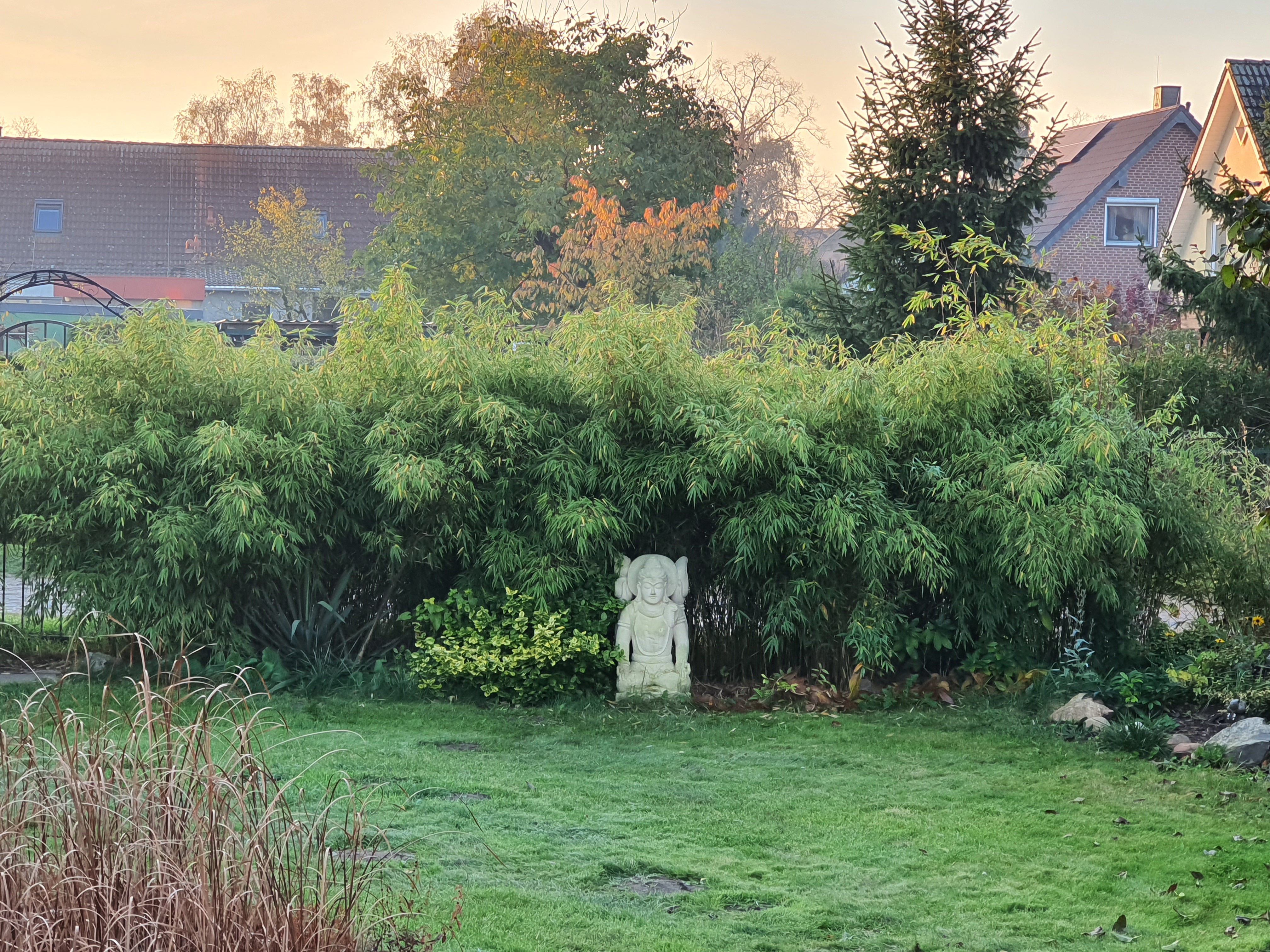 bunter-garten-plauder-bilder-thread-536791-1.jpg