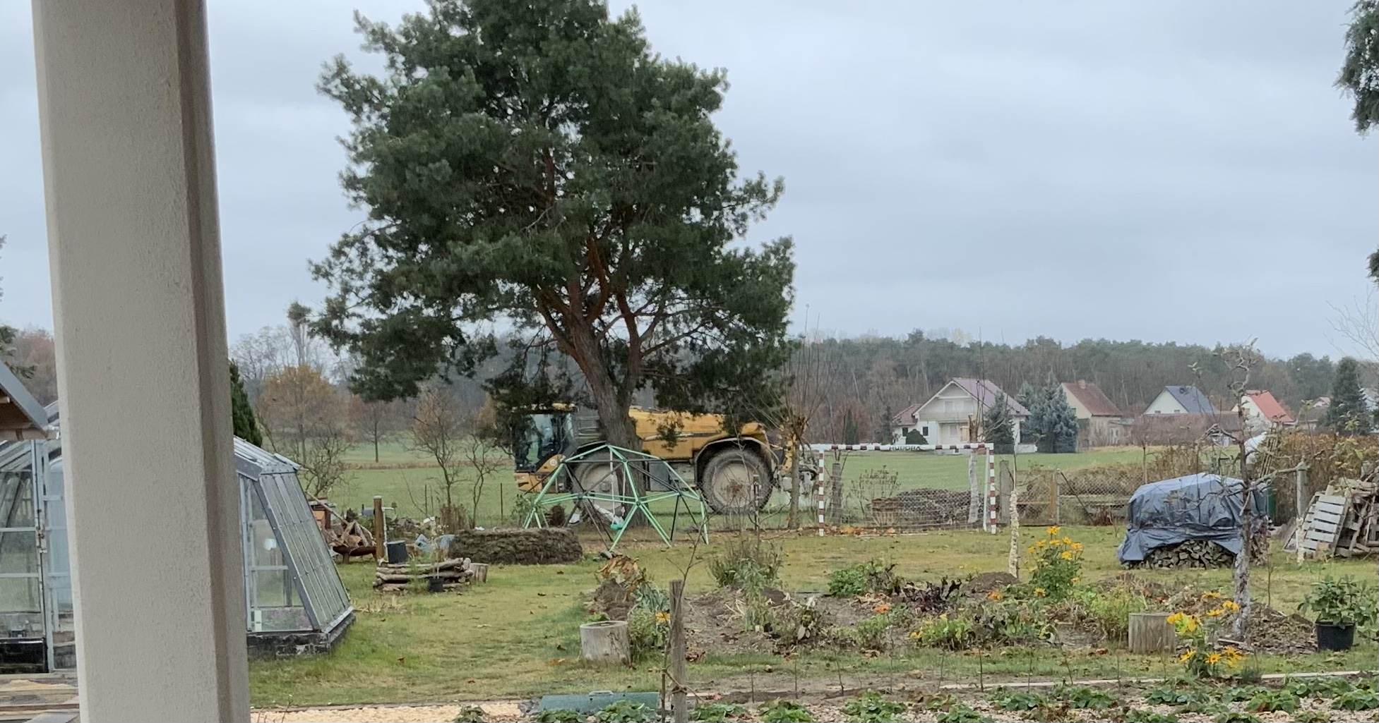bunter-garten-plauder-bilder-thread-540719-1.jpeg