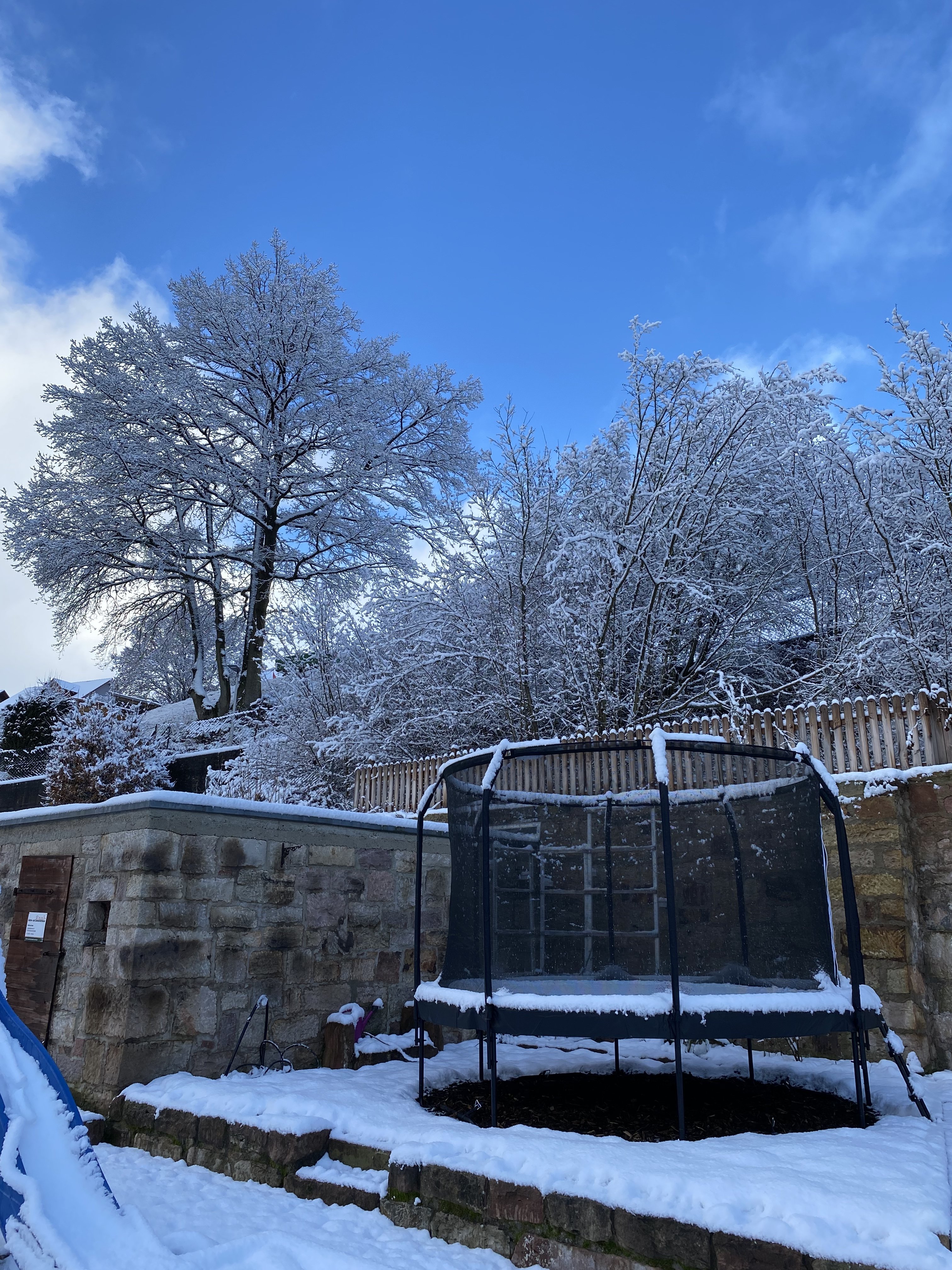 bunter-garten-plauder-bilder-thread-549354-6.jpeg