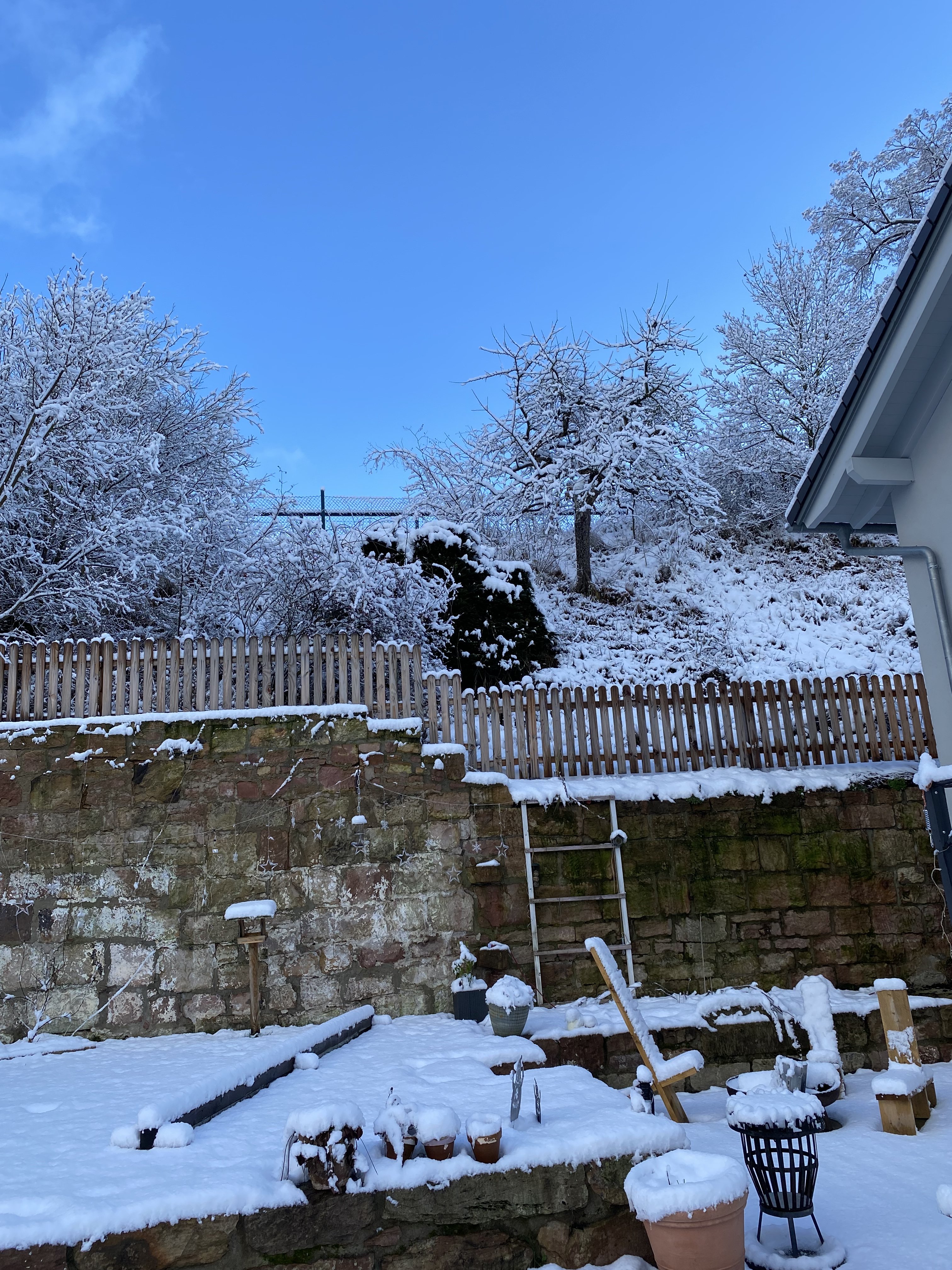 bunter-garten-plauder-bilder-thread-549354-7.jpeg