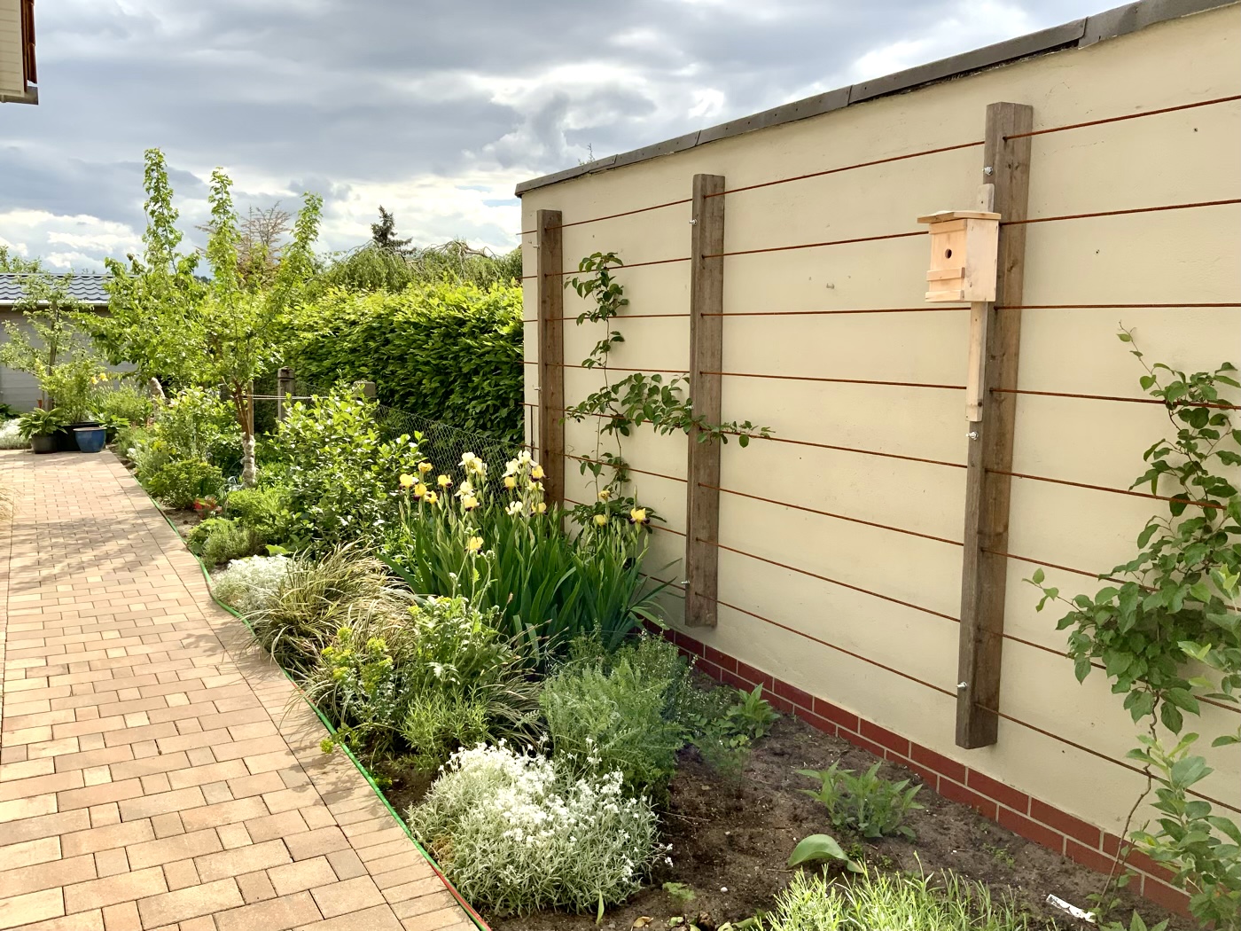 bunter-garten-plauder-bilder-thread-577090-3.jpeg