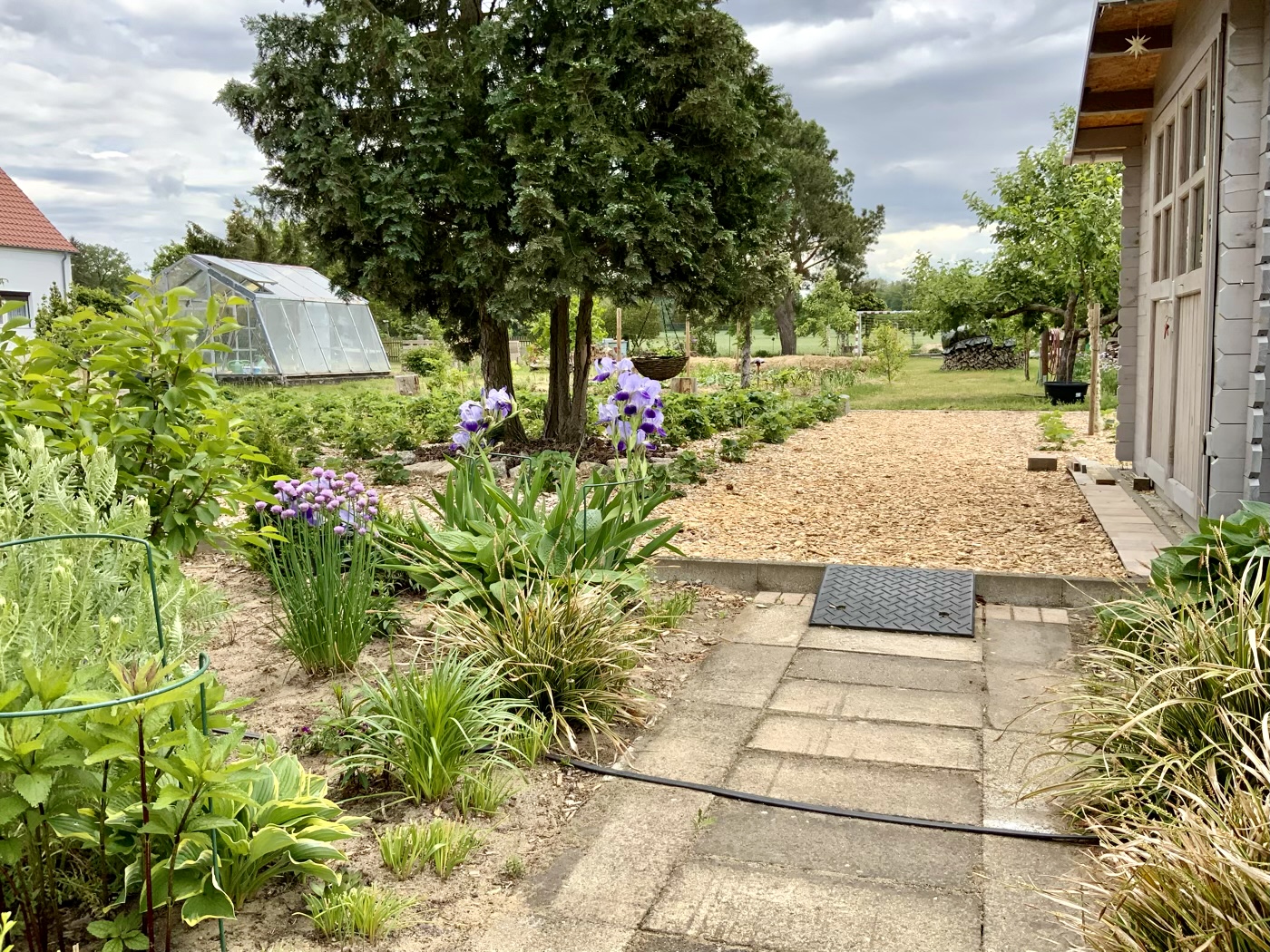 bunter-garten-plauder-bilder-thread-577090-5.jpeg