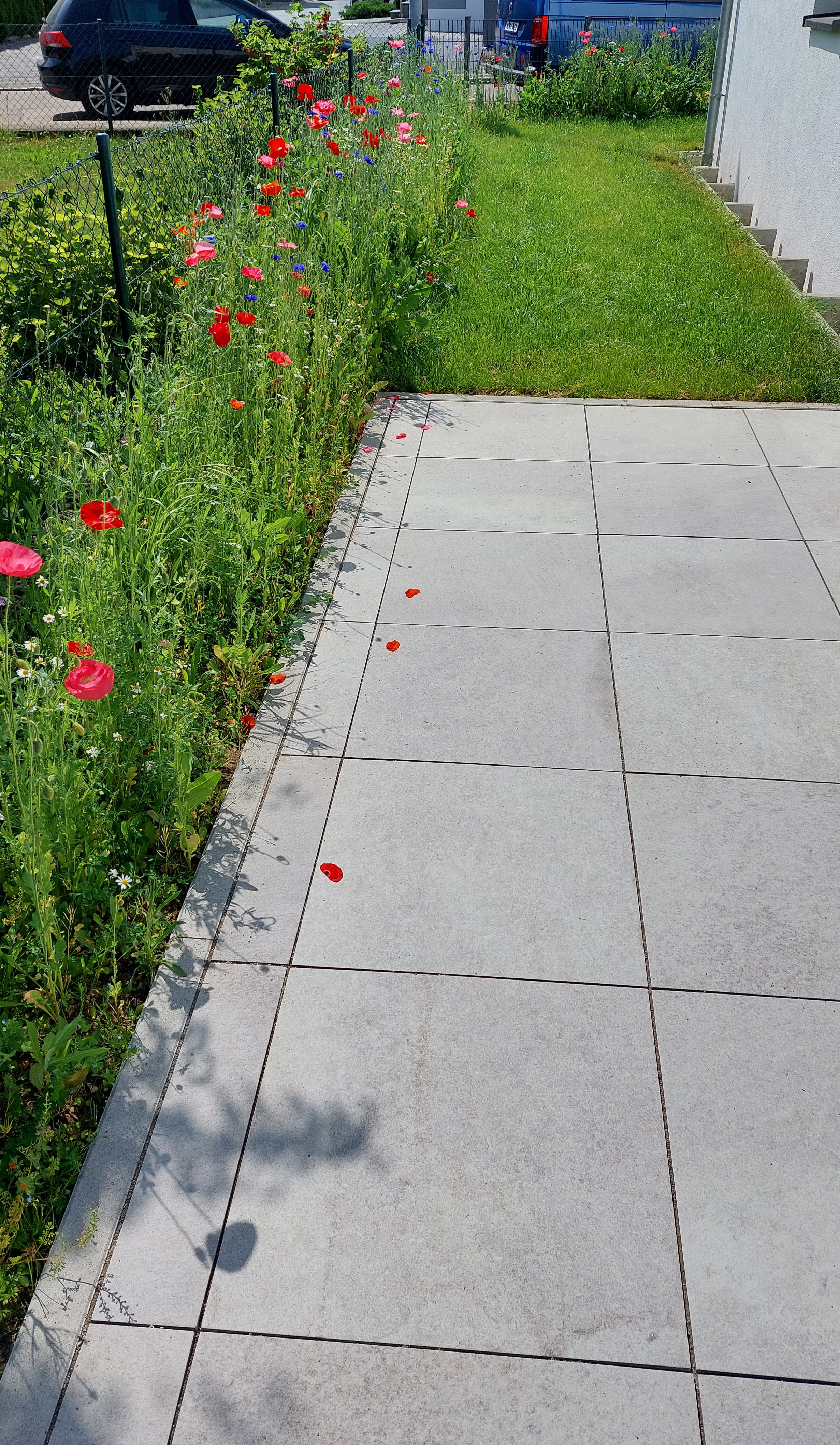 bunter-garten-plauder-bilder-thread-581648-1.jpg
