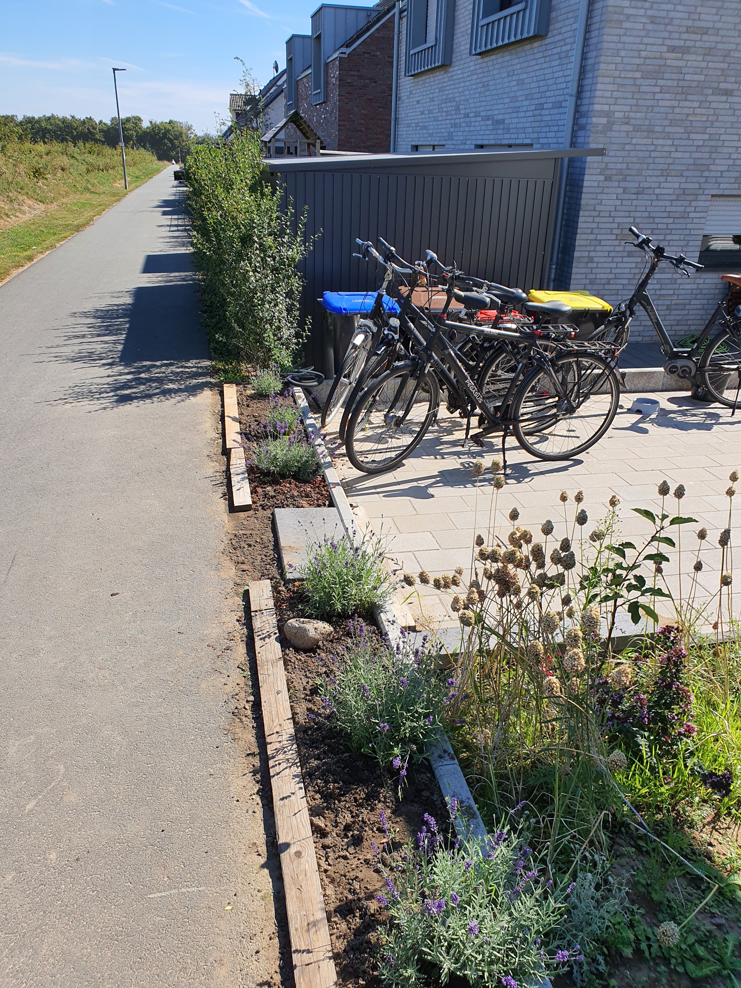 bunter-garten-plauder-bilder-thread-592091-1.jpg