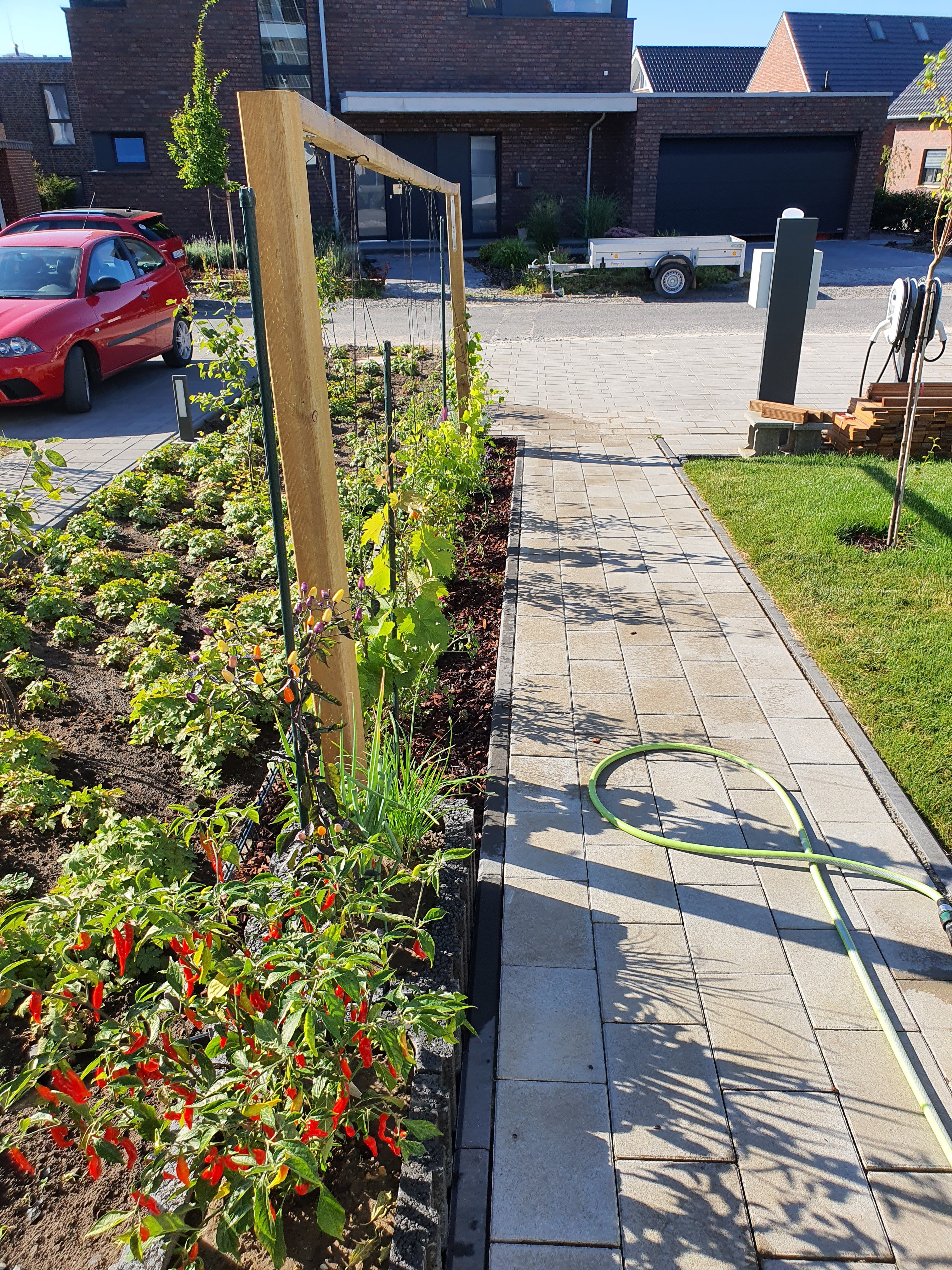 bunter-garten-plauder-bilder-thread-592091-2.jpg