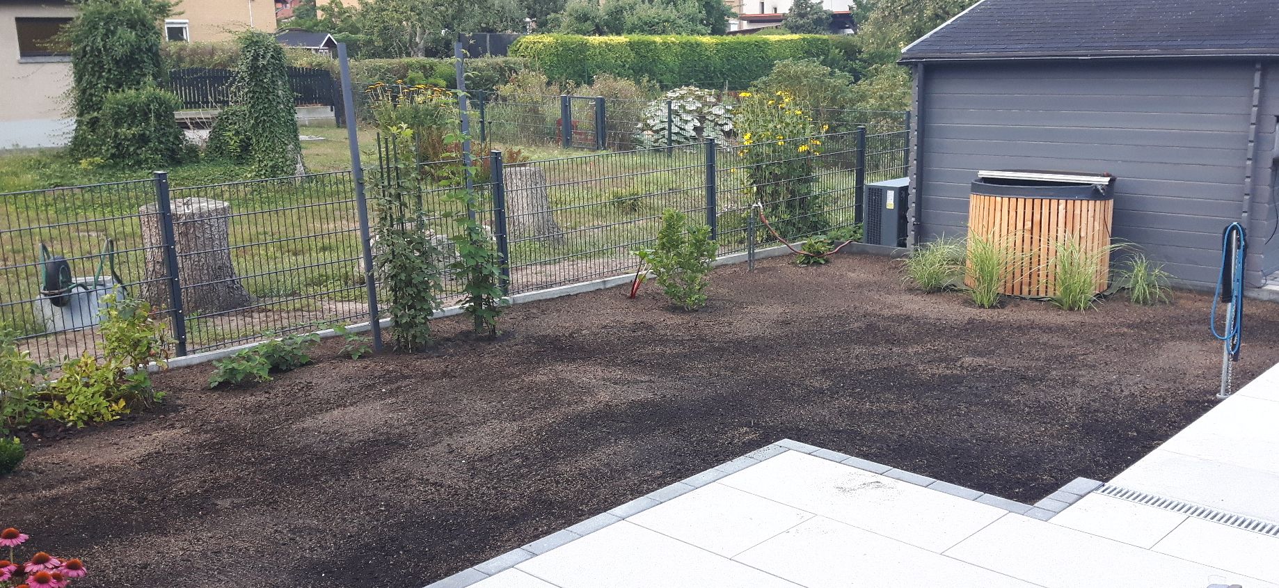 bunter-garten-plauder-bilder-thread-592296-1.jpg