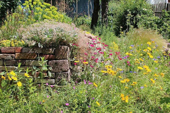 Blumenbeet aus Steinmauer mit bunten Wildblumen und Gras im Garten