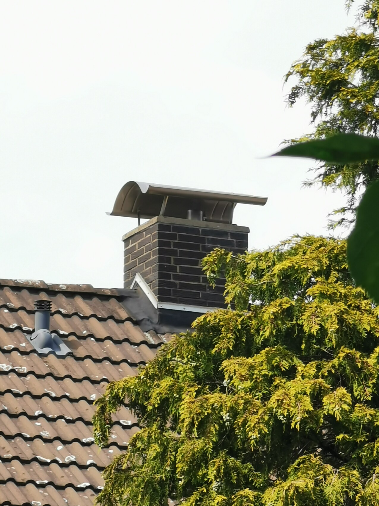 Schornstein auf Ziegeldach mit grünem Baum im Vordergrund