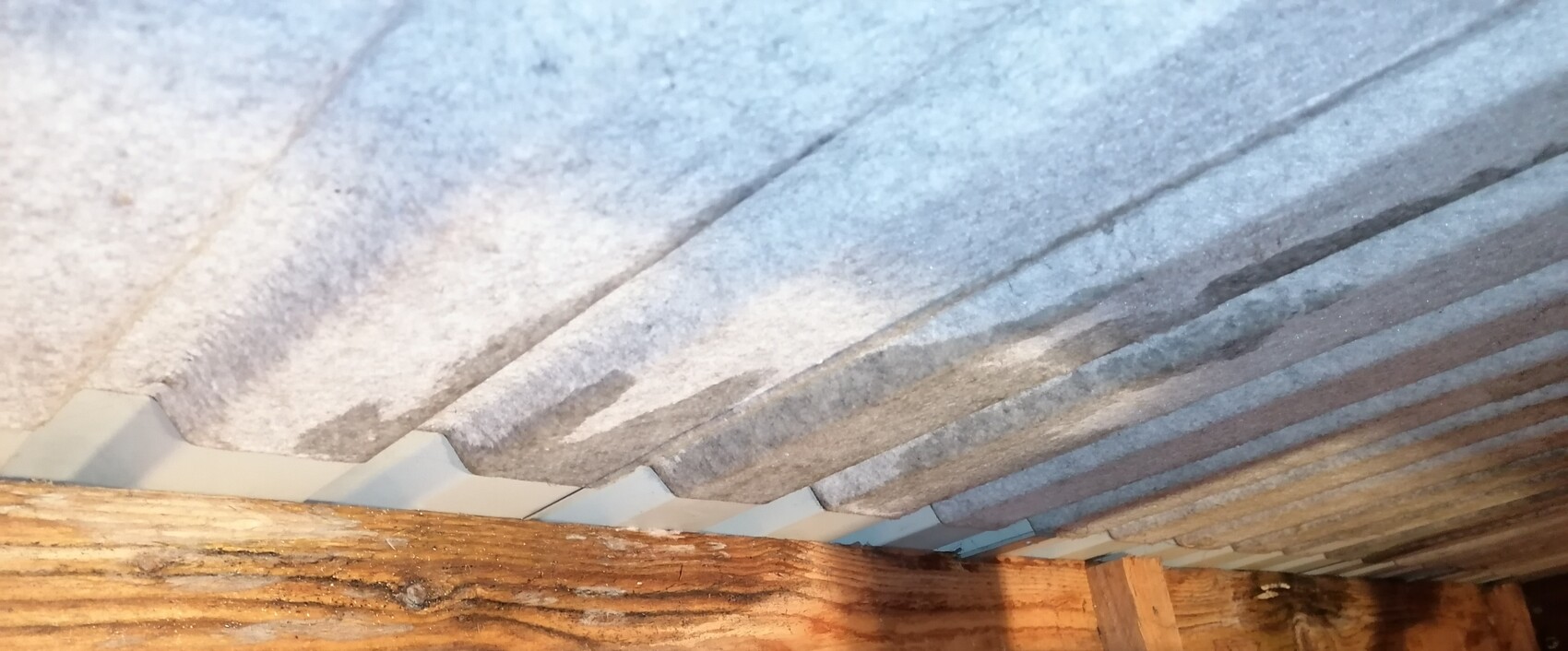 Blick von unten auf graue, gewellte Dachbleche über Holzbalkendecke
