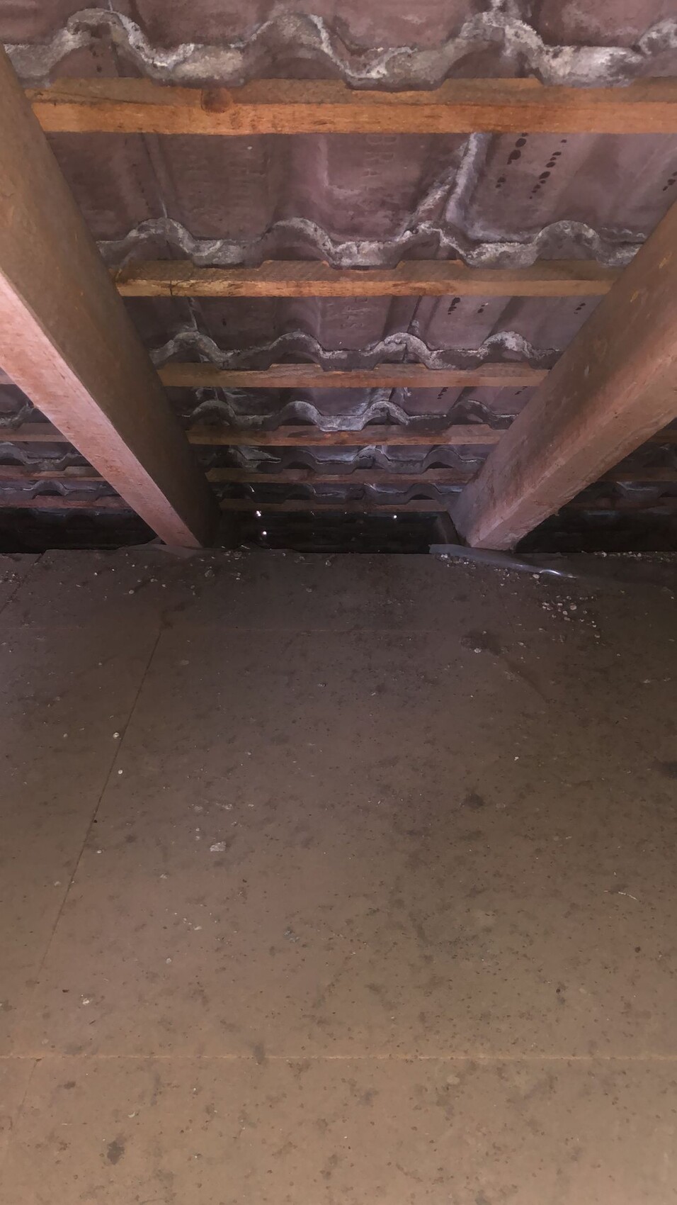 Dachboden mit Holzbalken, sichtbare Dachkonstruktion aus Holz und staubigem Boden