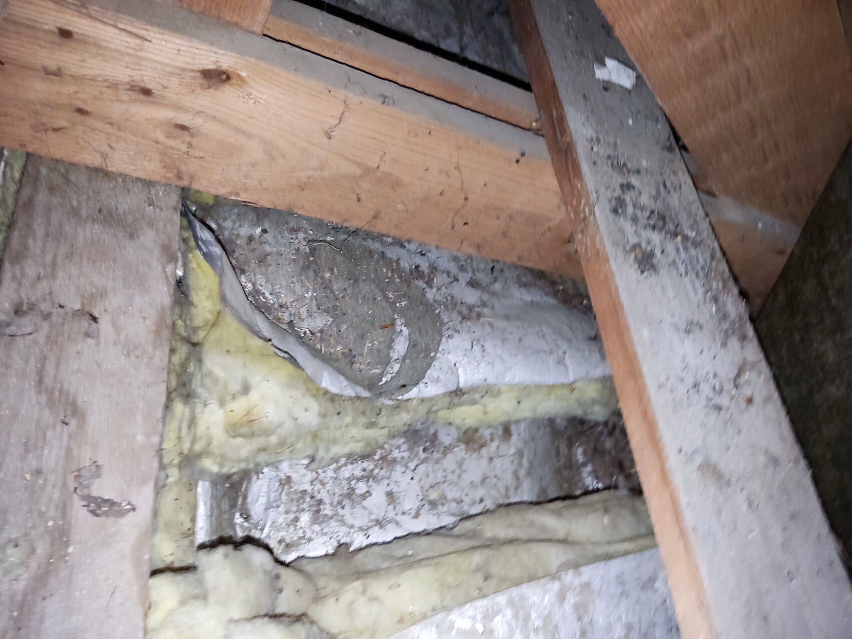 dachboden-dämmung-holzbau-innenseite-feuchtigkeit.jpg