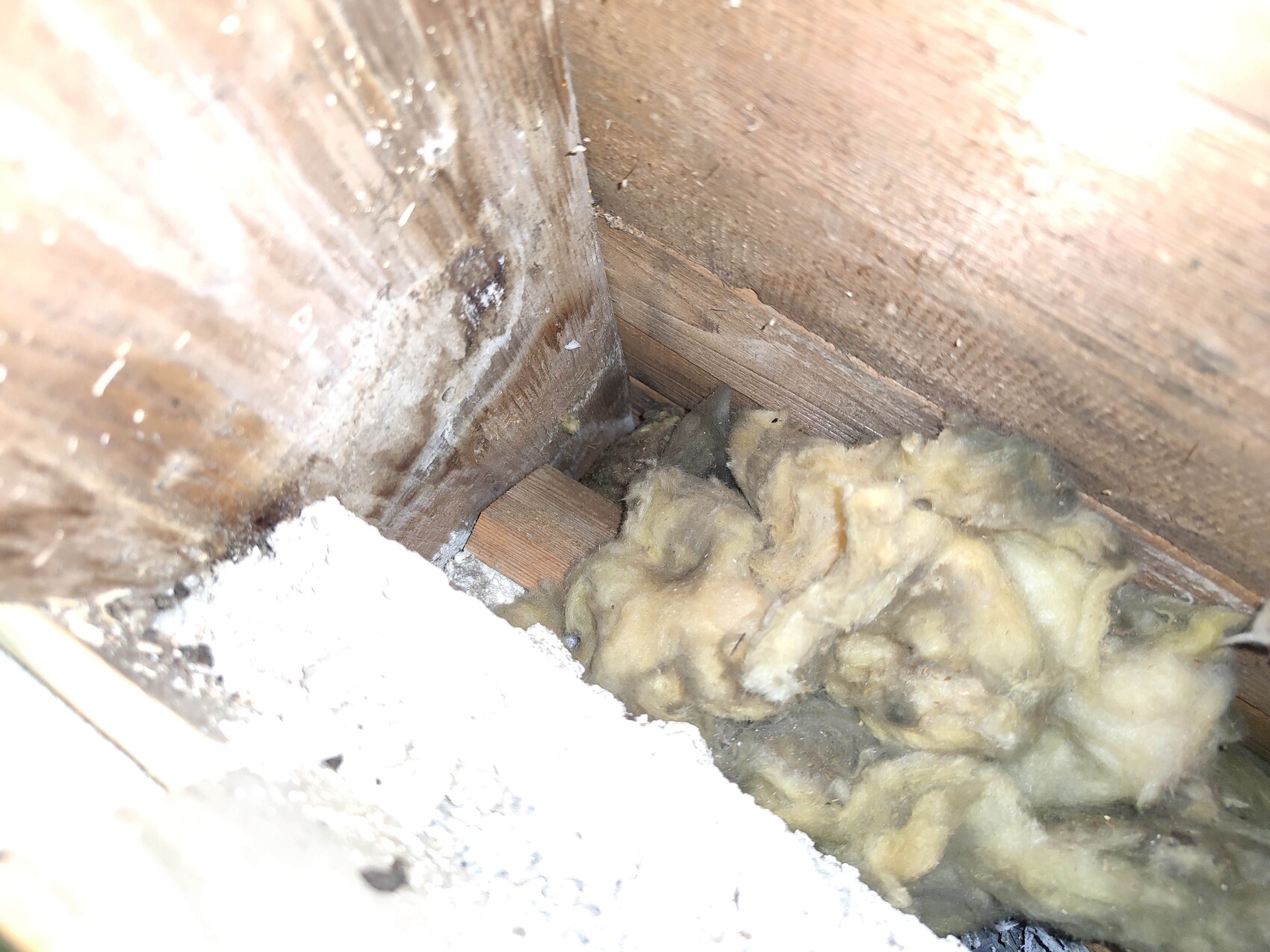 Nahaufnahme einer Holzbalkenkonstruktion mit gelber Dämmwolle zwischen Brettern, Putzreste sichtbar.