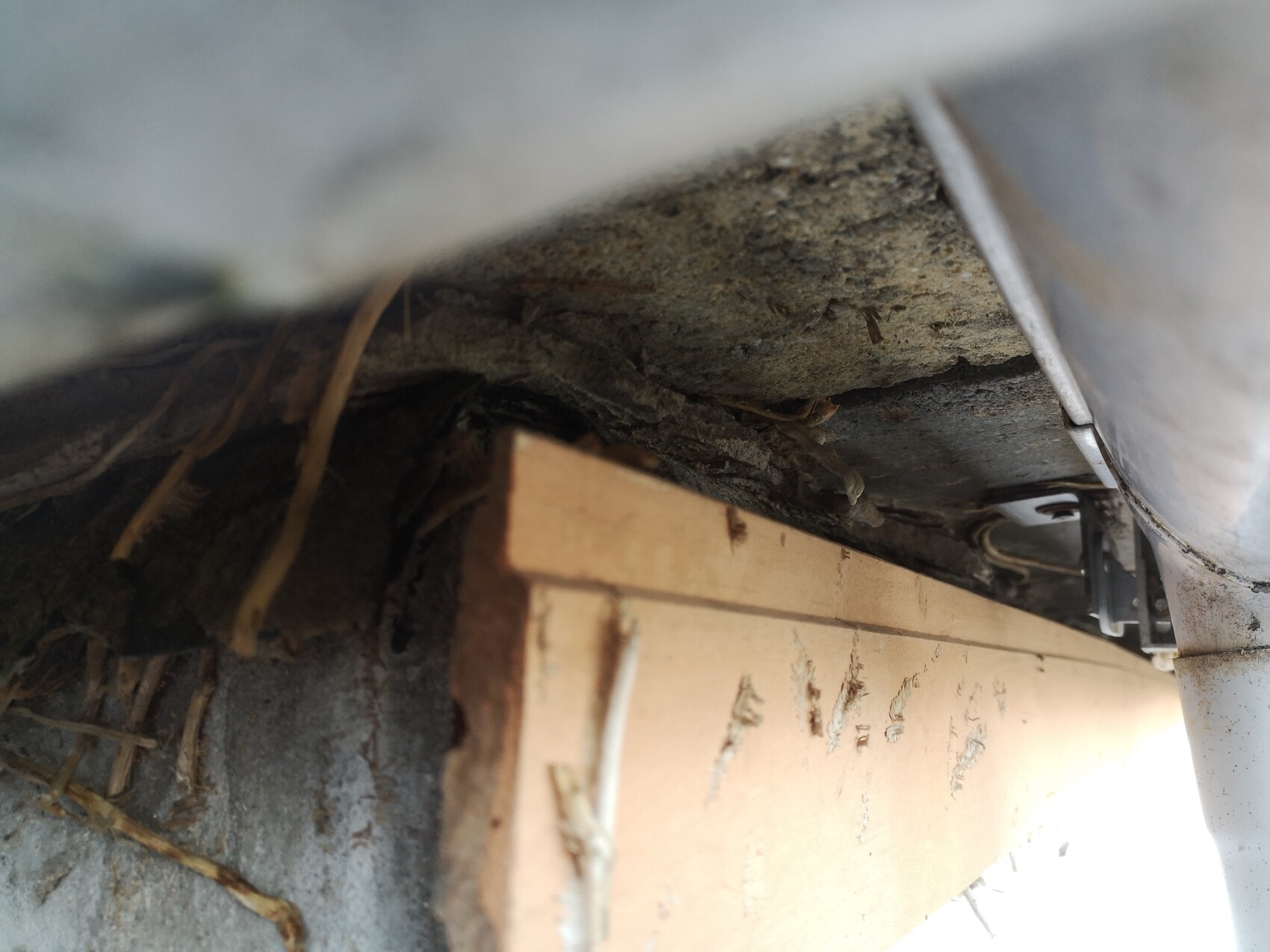 Enge Dachbodenecke mit Holzlatten, Strohresten, Staub und einem Metallwinkel.