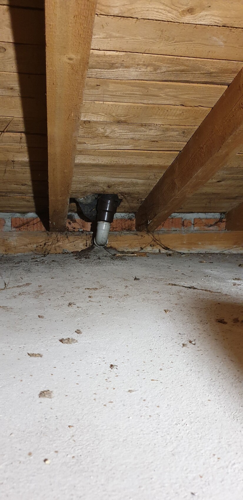 Kellerdecke mit Holzbalken, schwarzem Abflussrohr und weißem Winkel über staubigem Betonboden.