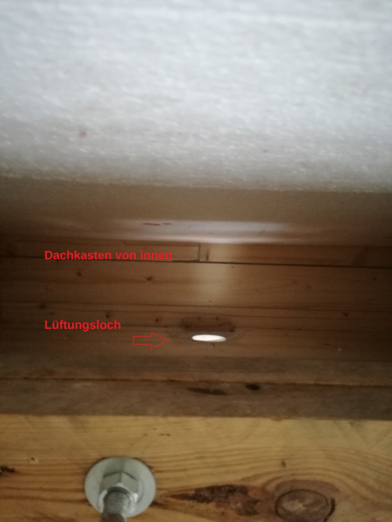 Dachboden mit Holzstruktur und runden Lüftungslöchern im Bodenbereich